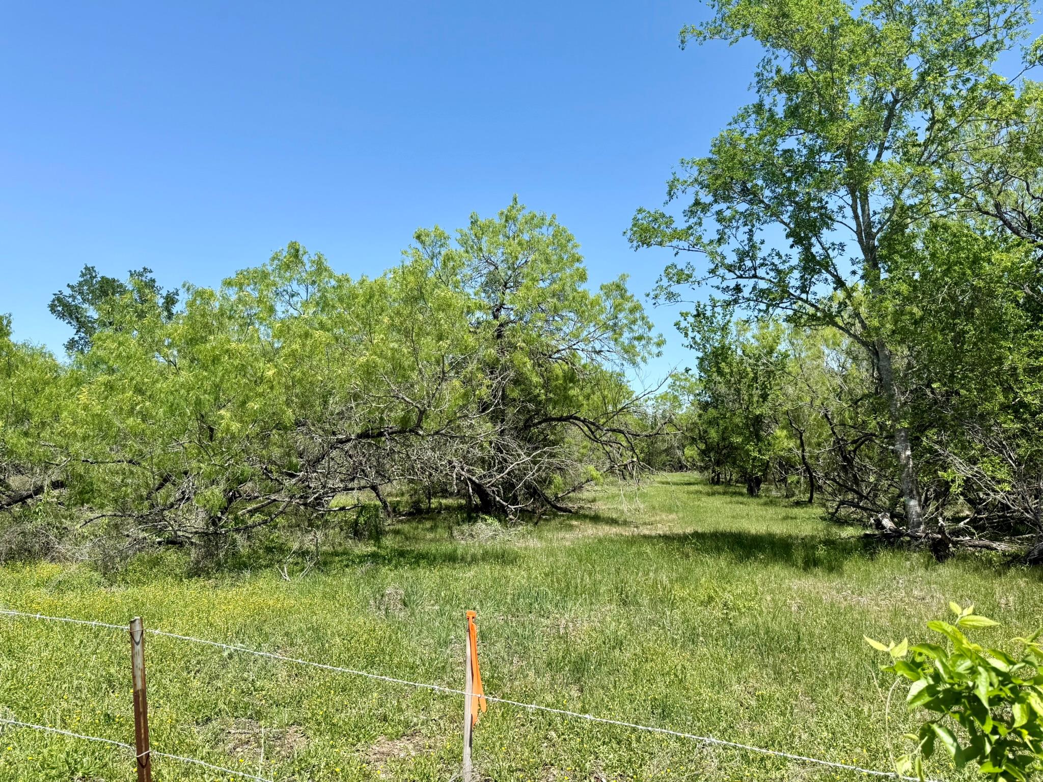 TBD Acorn Rd # 2, Lockhart, TX 78644
