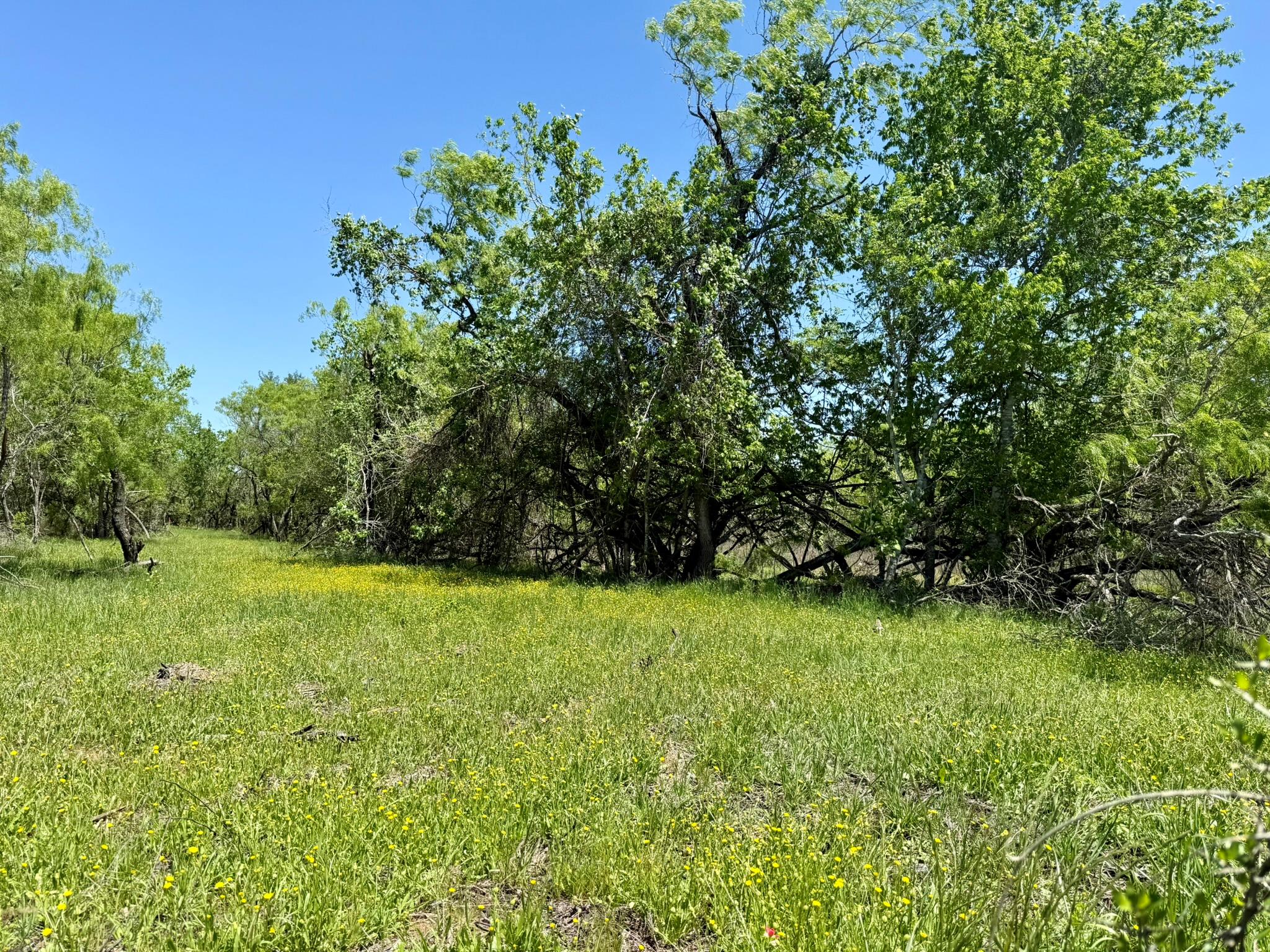 TBD Acorn Rd # 2, Lockhart, TX 78644