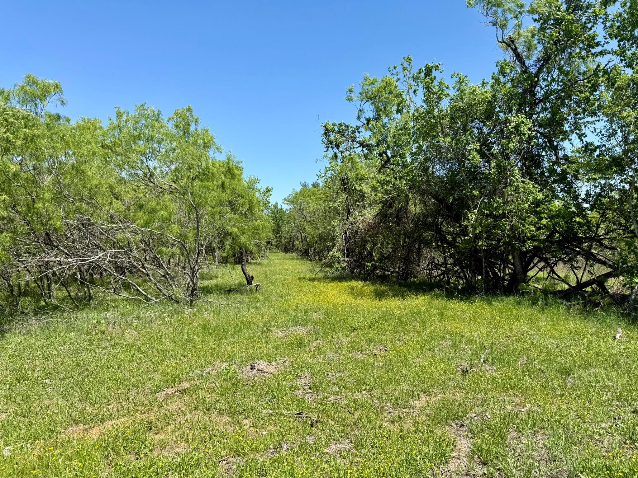 TBD Acorn Rd # 2, Lockhart, TX 78644