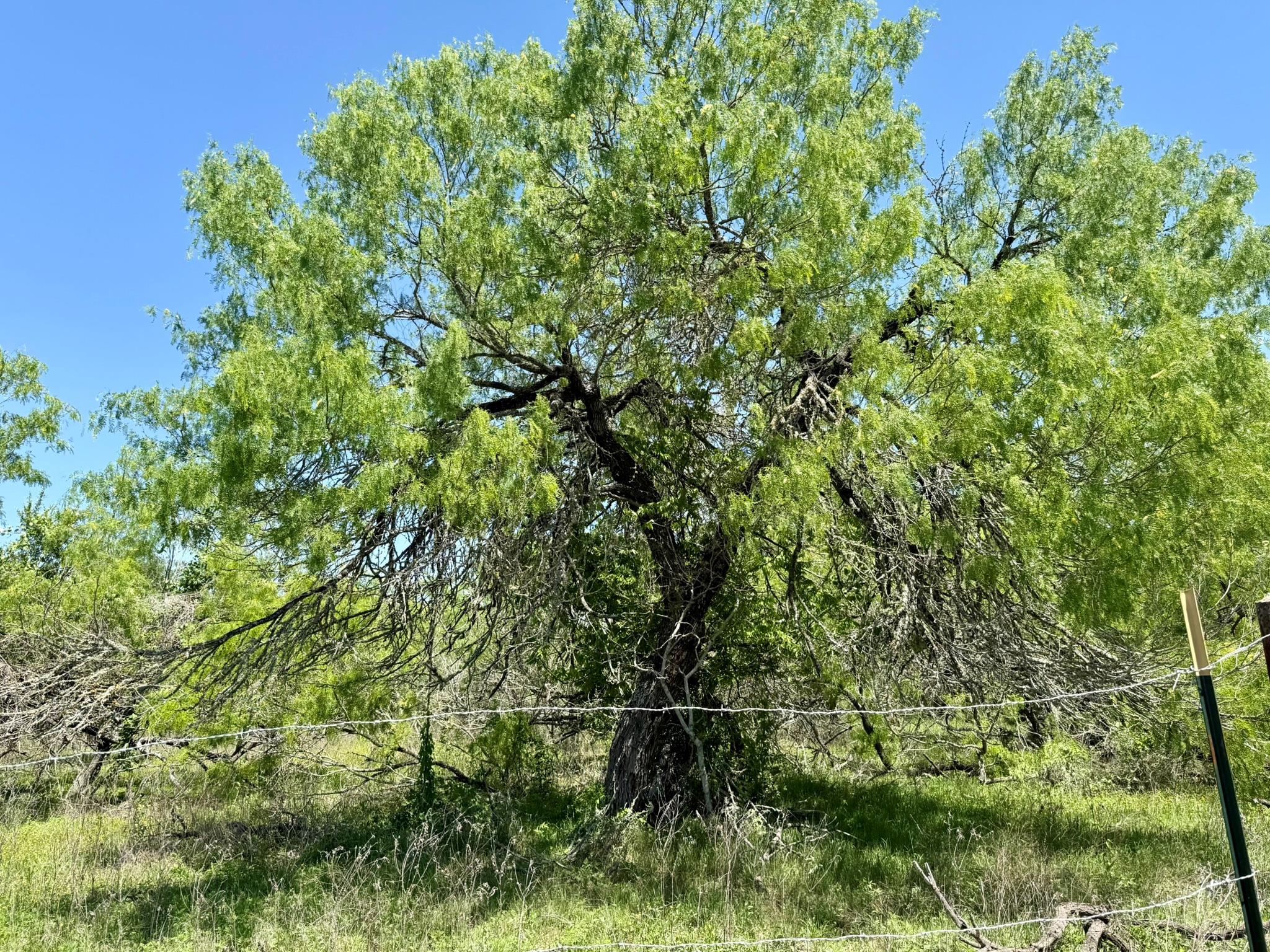 TBD Acorn Rd # 2, Lockhart, TX 78644