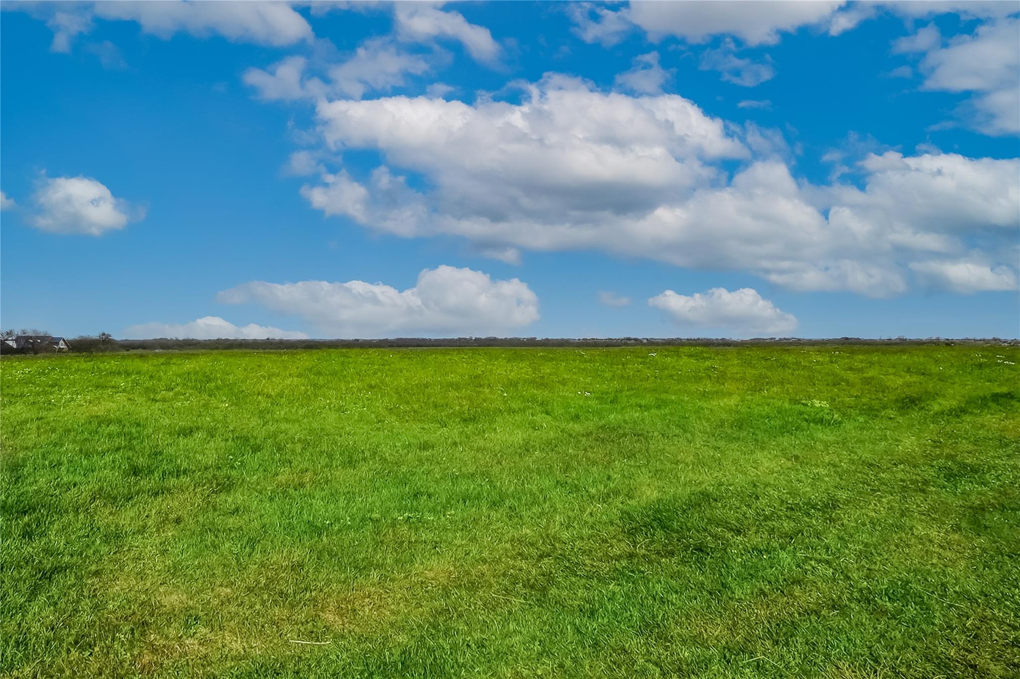 TBD County Road 445 Tract 1, Taylor, TX 76574