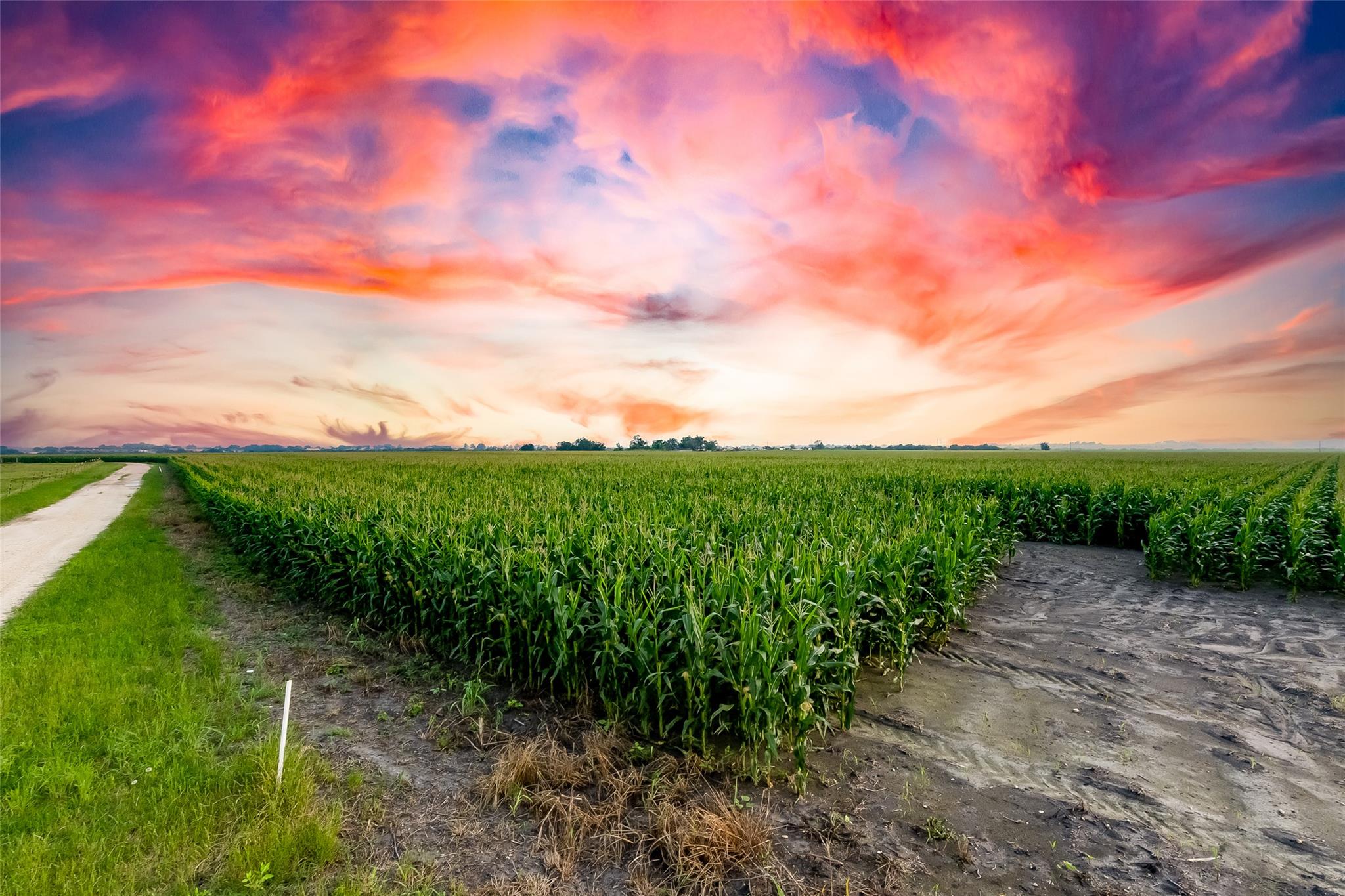 TBD County Road 445 Tract 1, Taylor, TX 76574