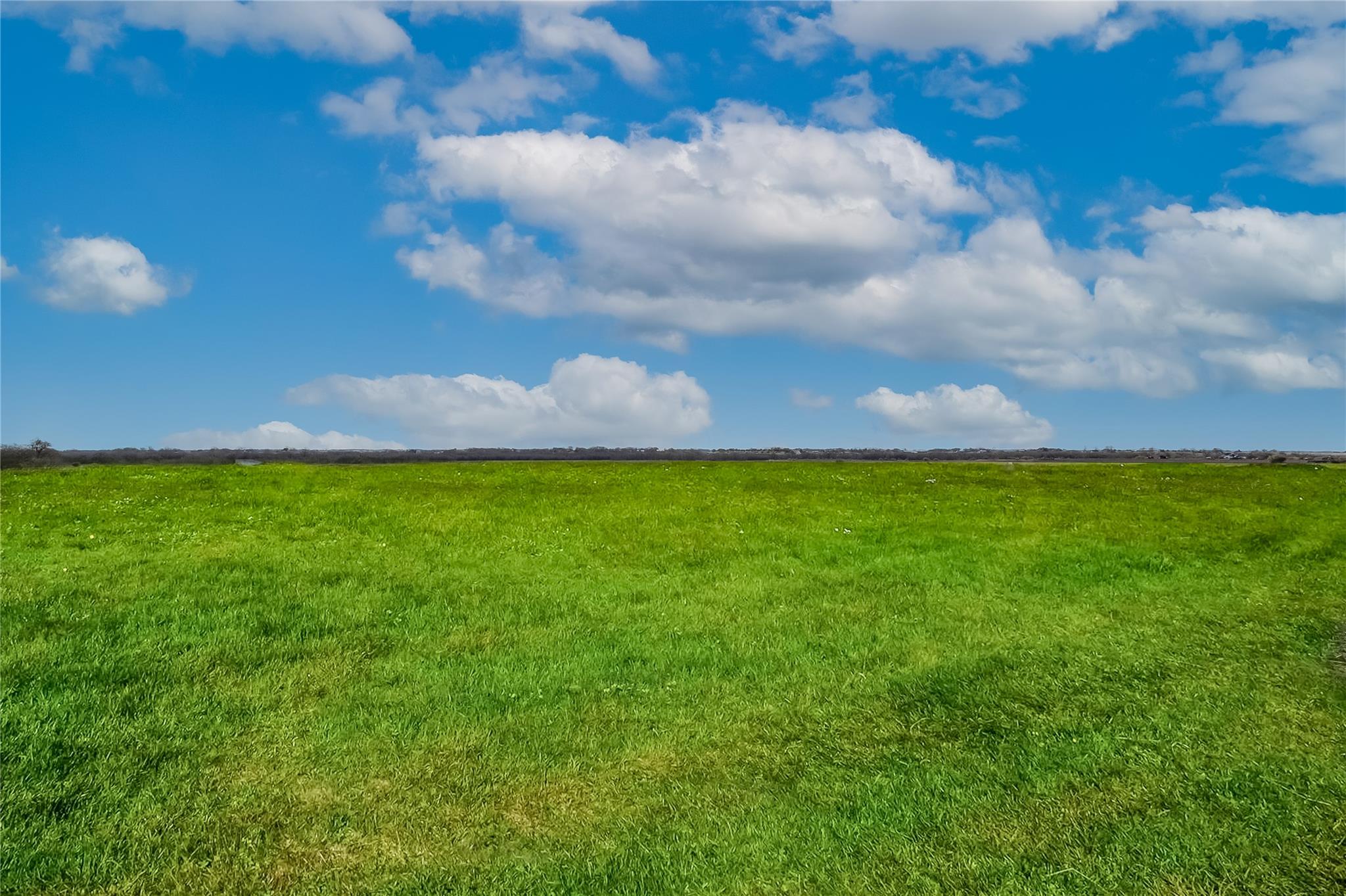 TBD County Road 445 Tract 1, Taylor, TX 76574