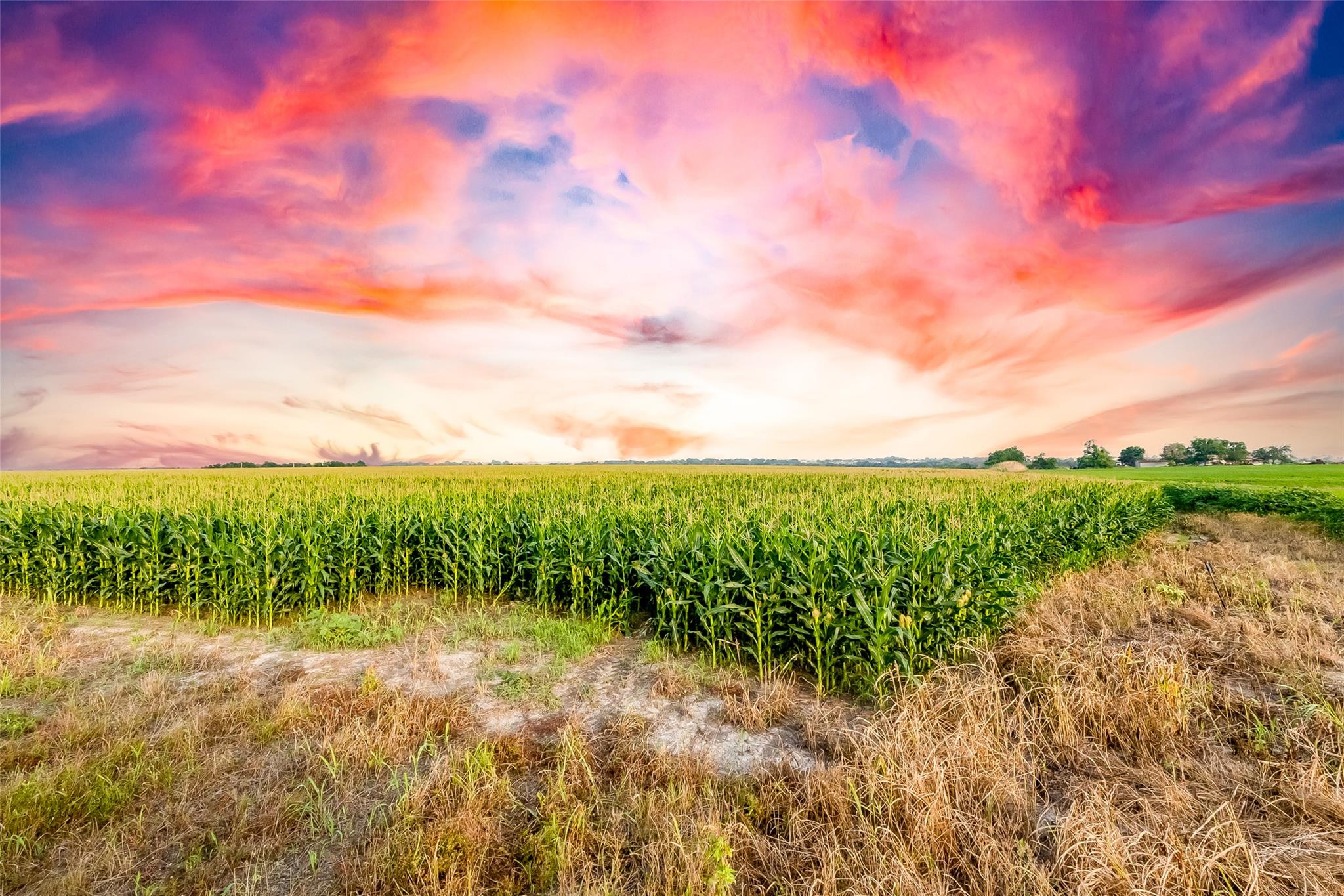 TBD County Road 445 Tract 1, Taylor, TX 76574