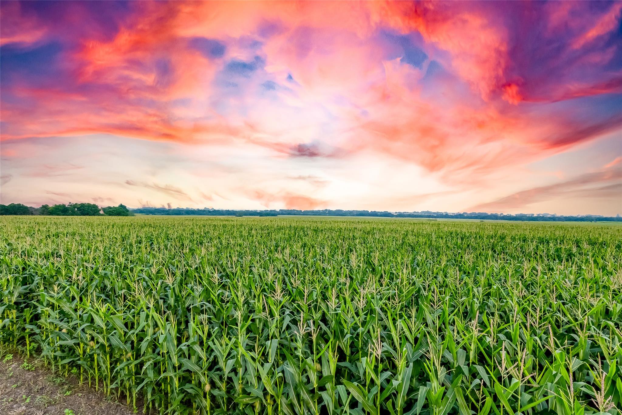 TBD County Road 445 Tract 1, Taylor, TX 76574