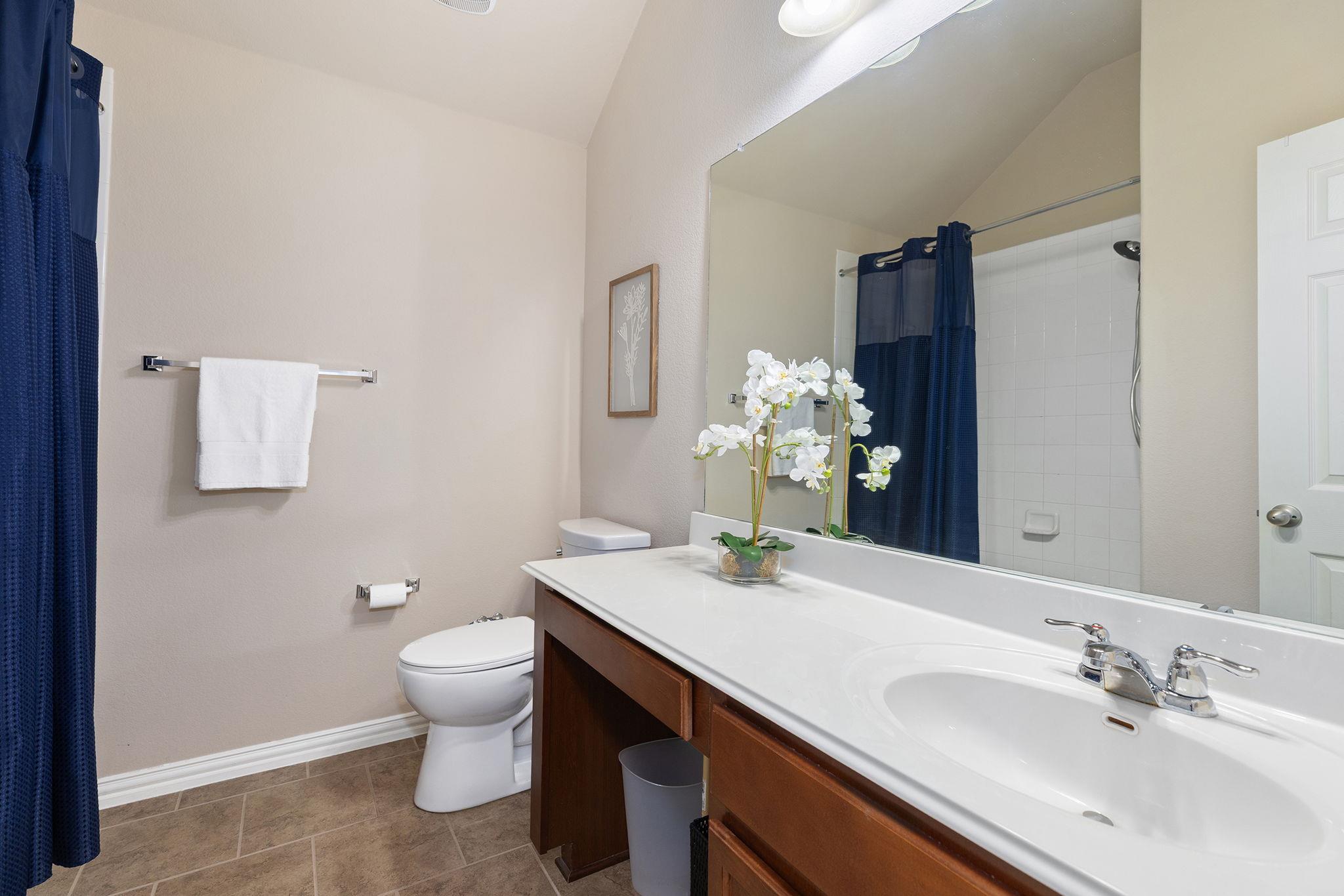 2644 Estefania Ln, Round Rock, TX 78665