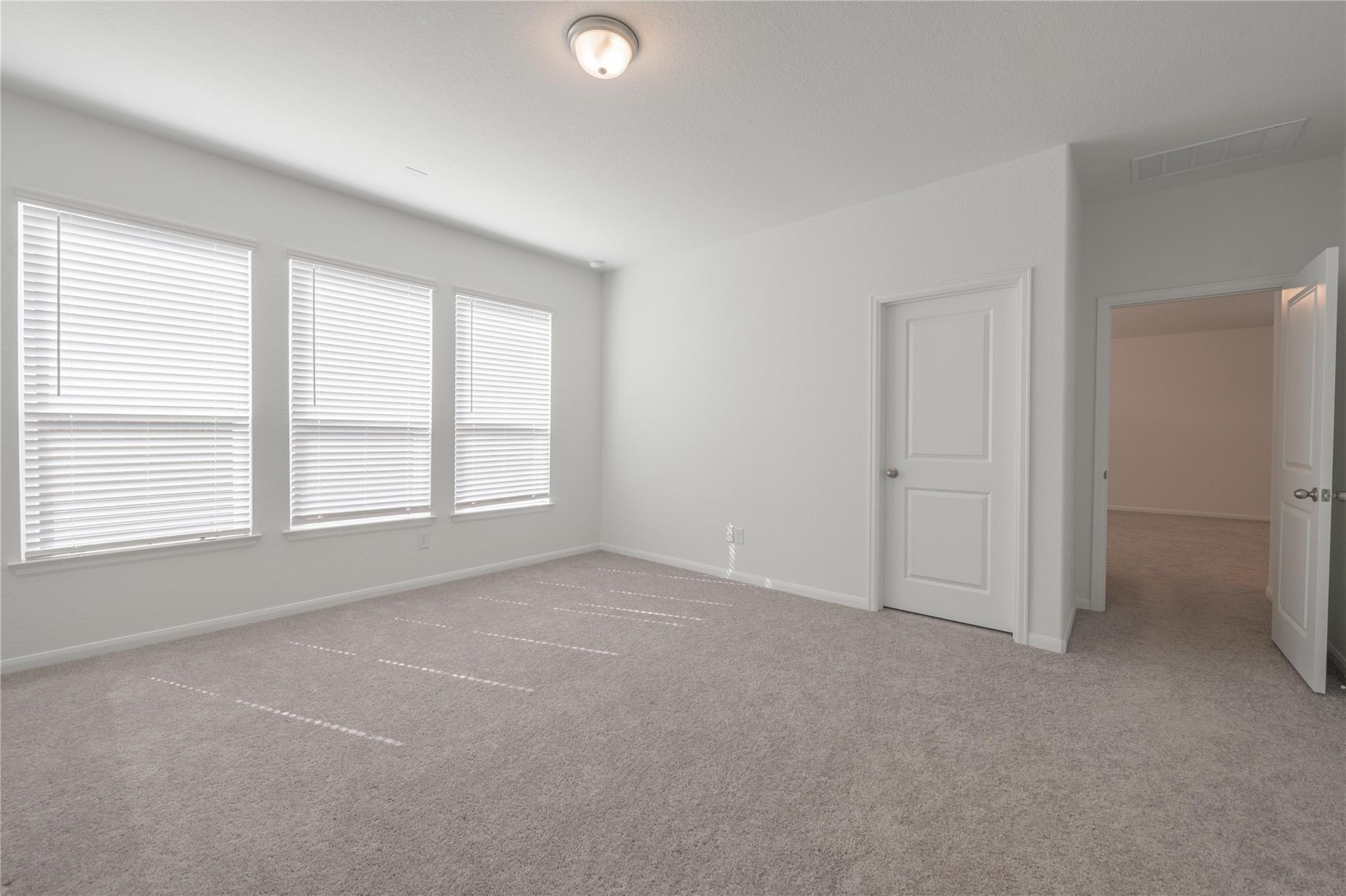 313 Sonbria Pass, Liberty Hill, TX 78642