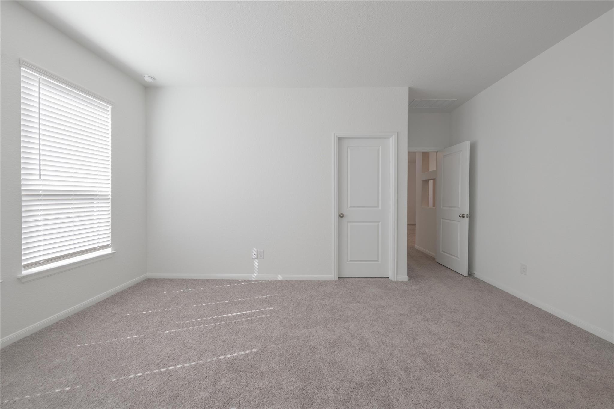 313 Sonbria Pass, Liberty Hill, TX 78642