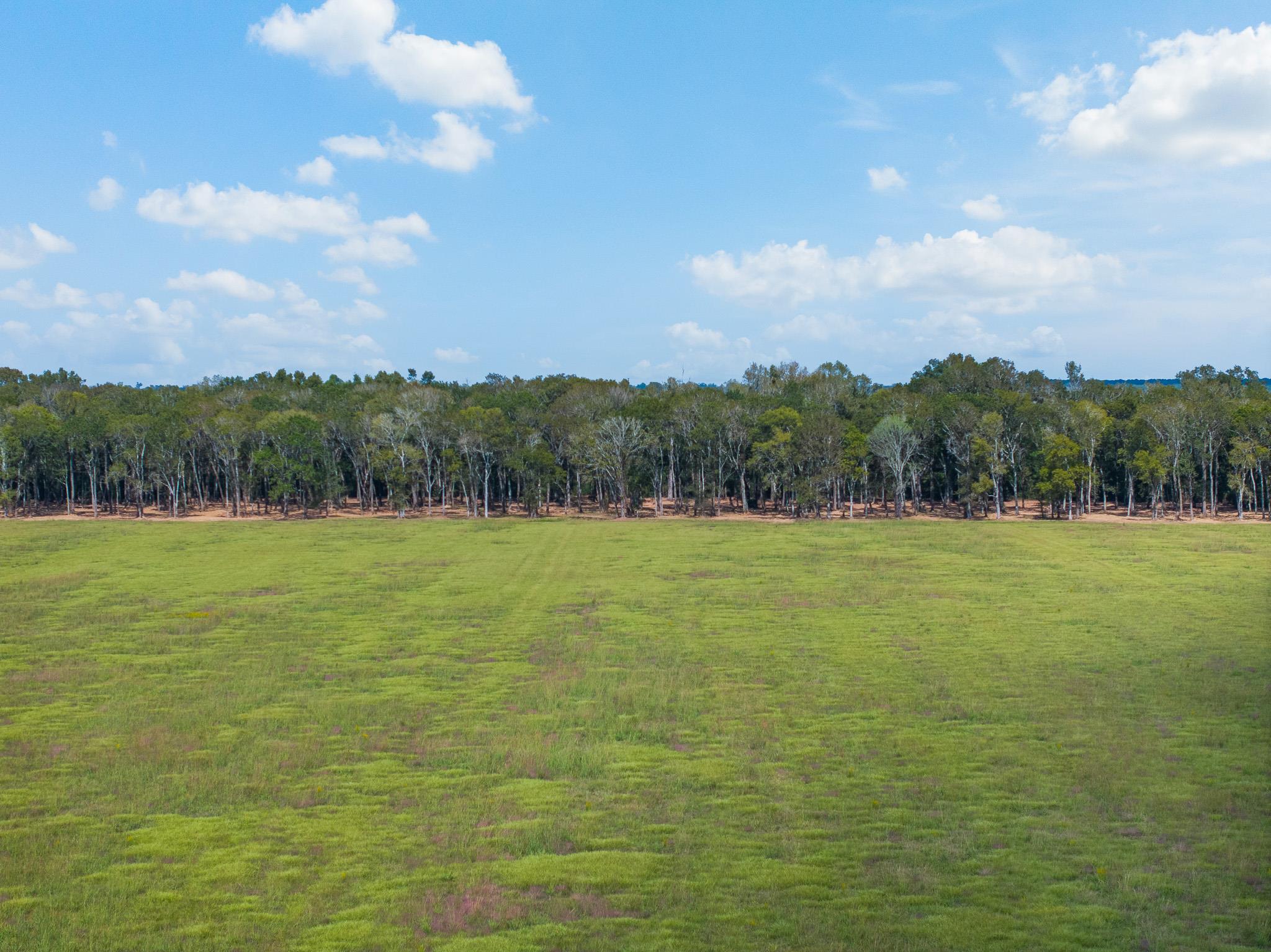 9999 FM 834, Hardin, TX 77564