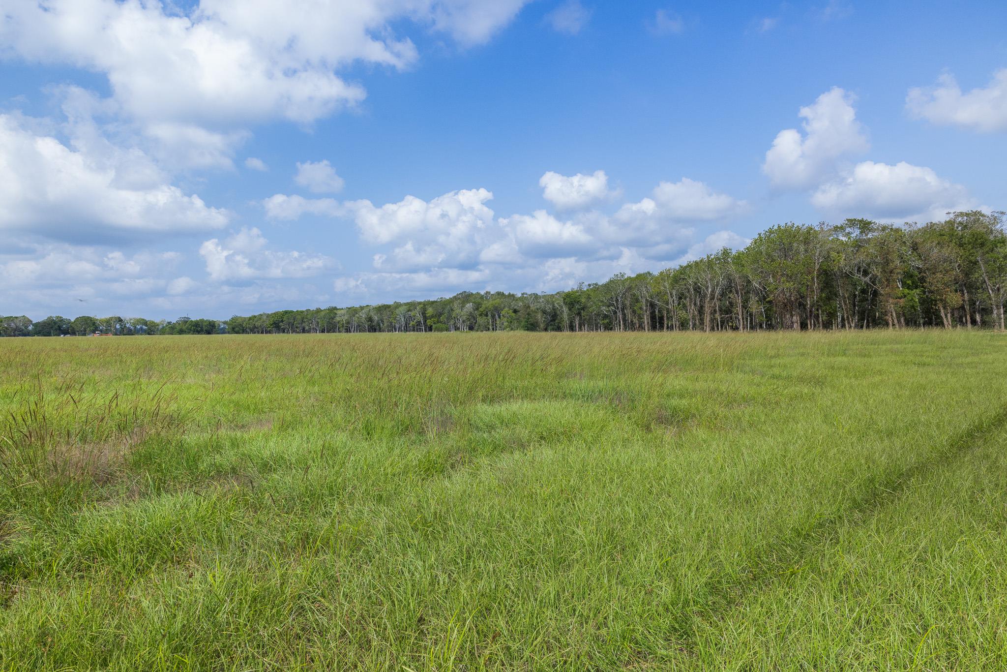 9999 FM 834, Hardin, TX 77564