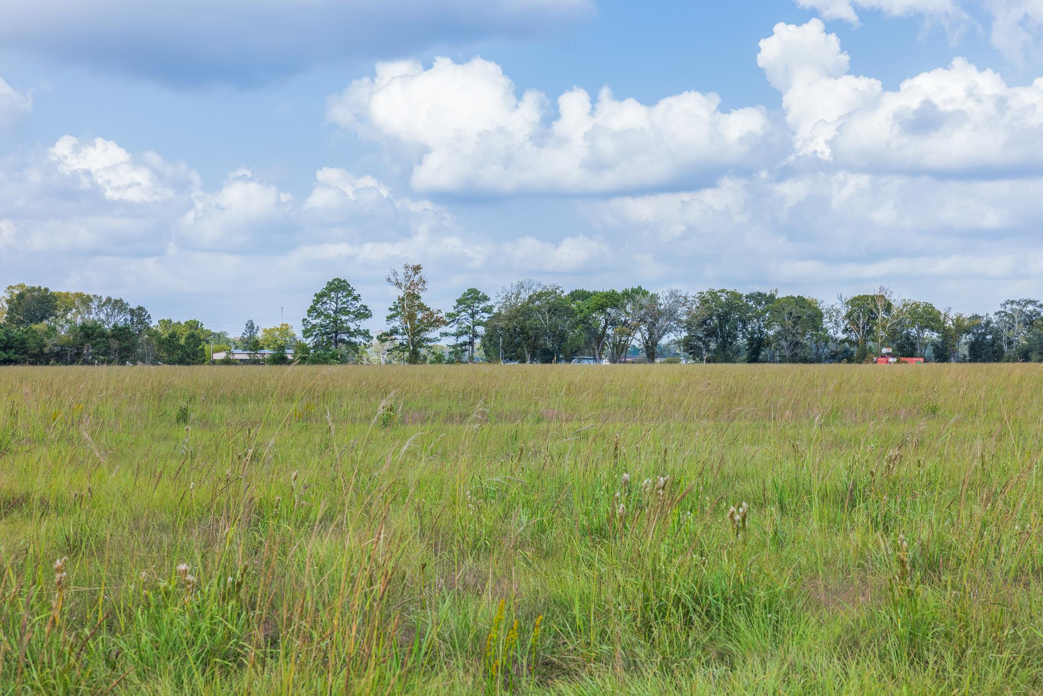 9999 FM 834, Hardin, TX 77564