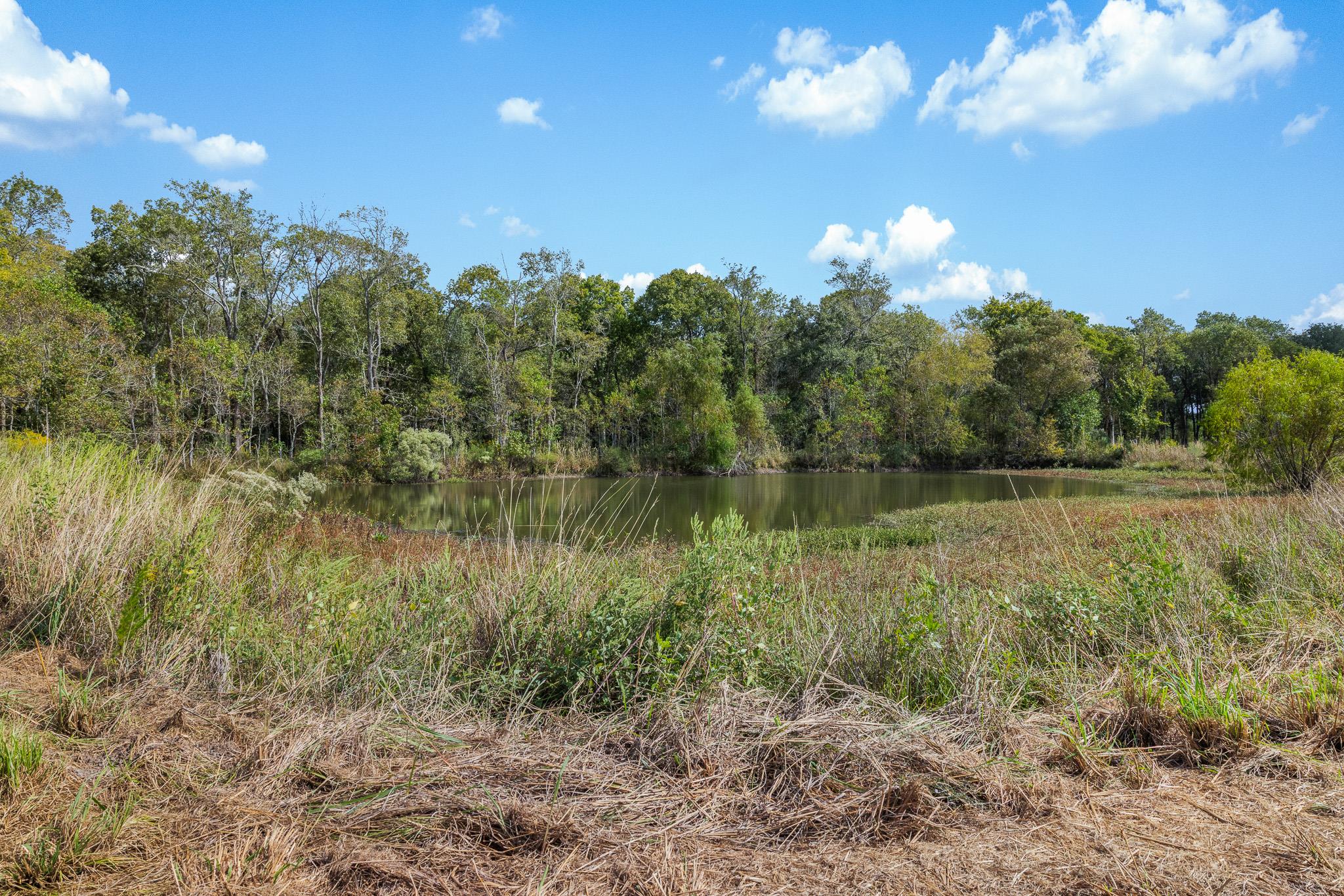 9999 FM 834, Hardin, TX 77564