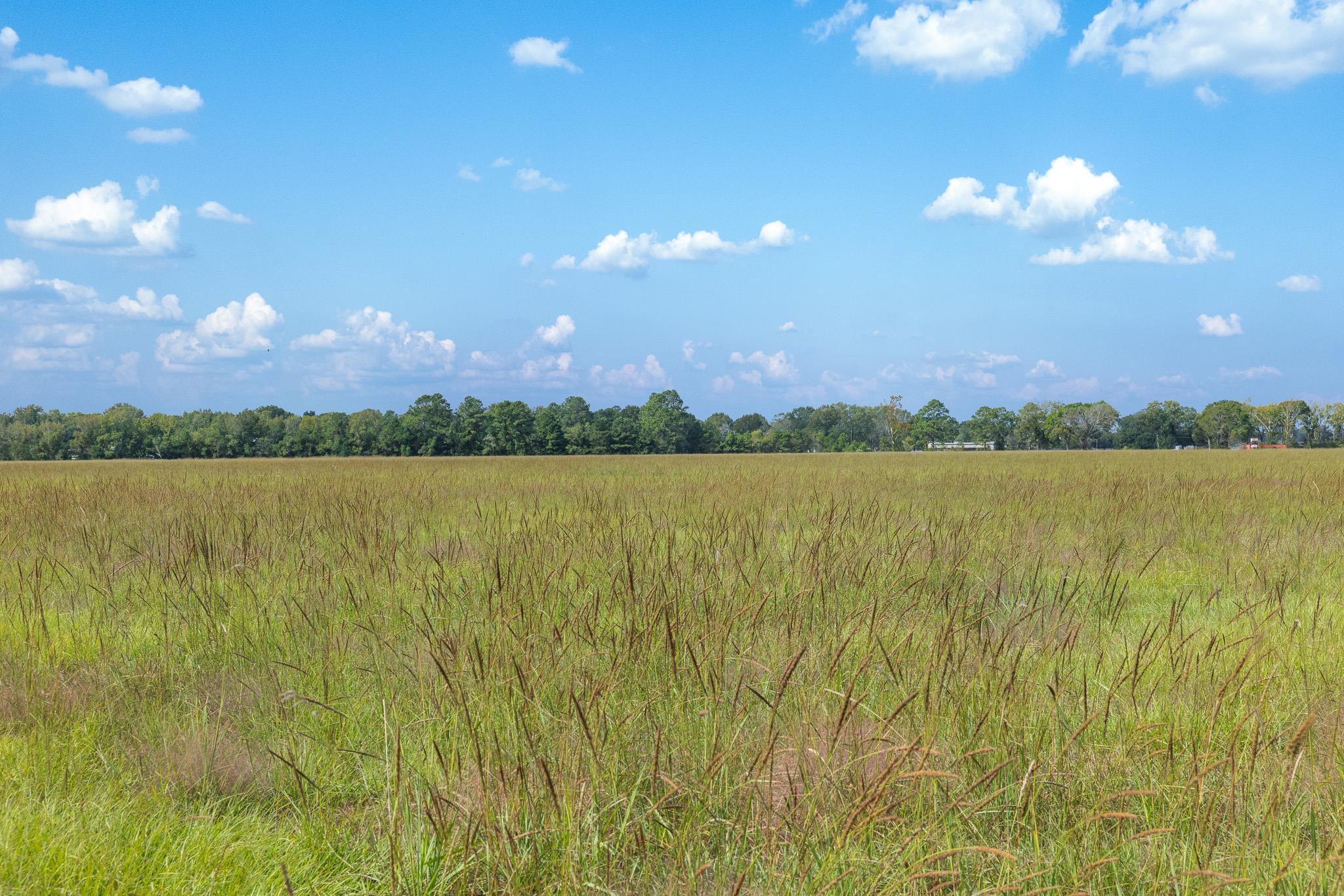 9999 FM 834, Hardin, TX 77564