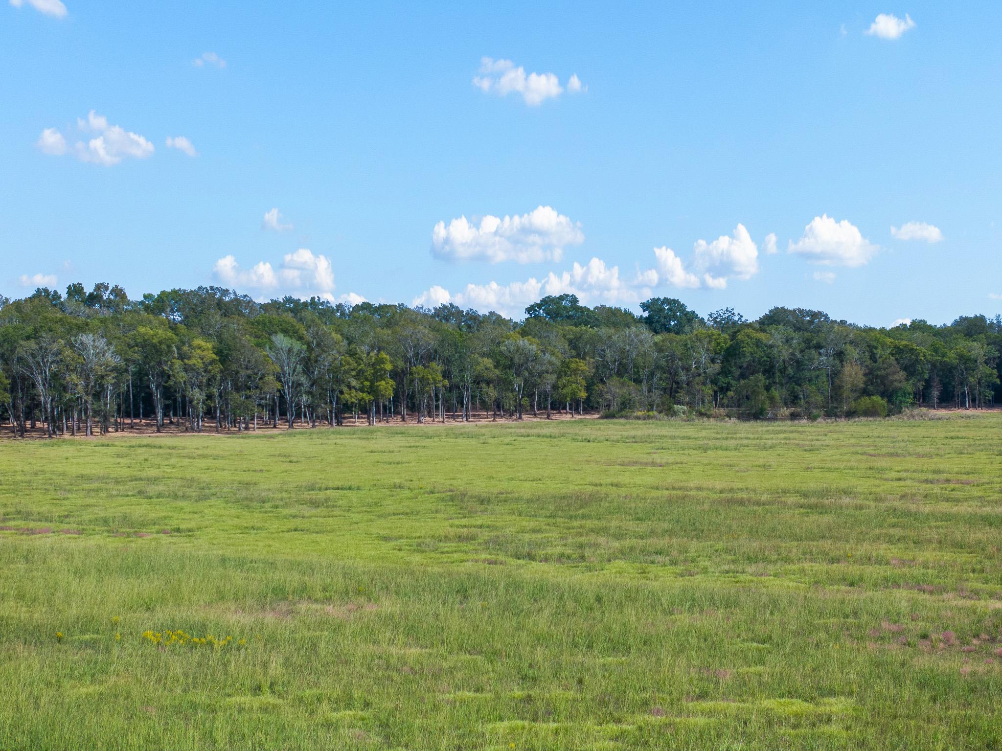 9999 FM 834, Hardin, TX 77564