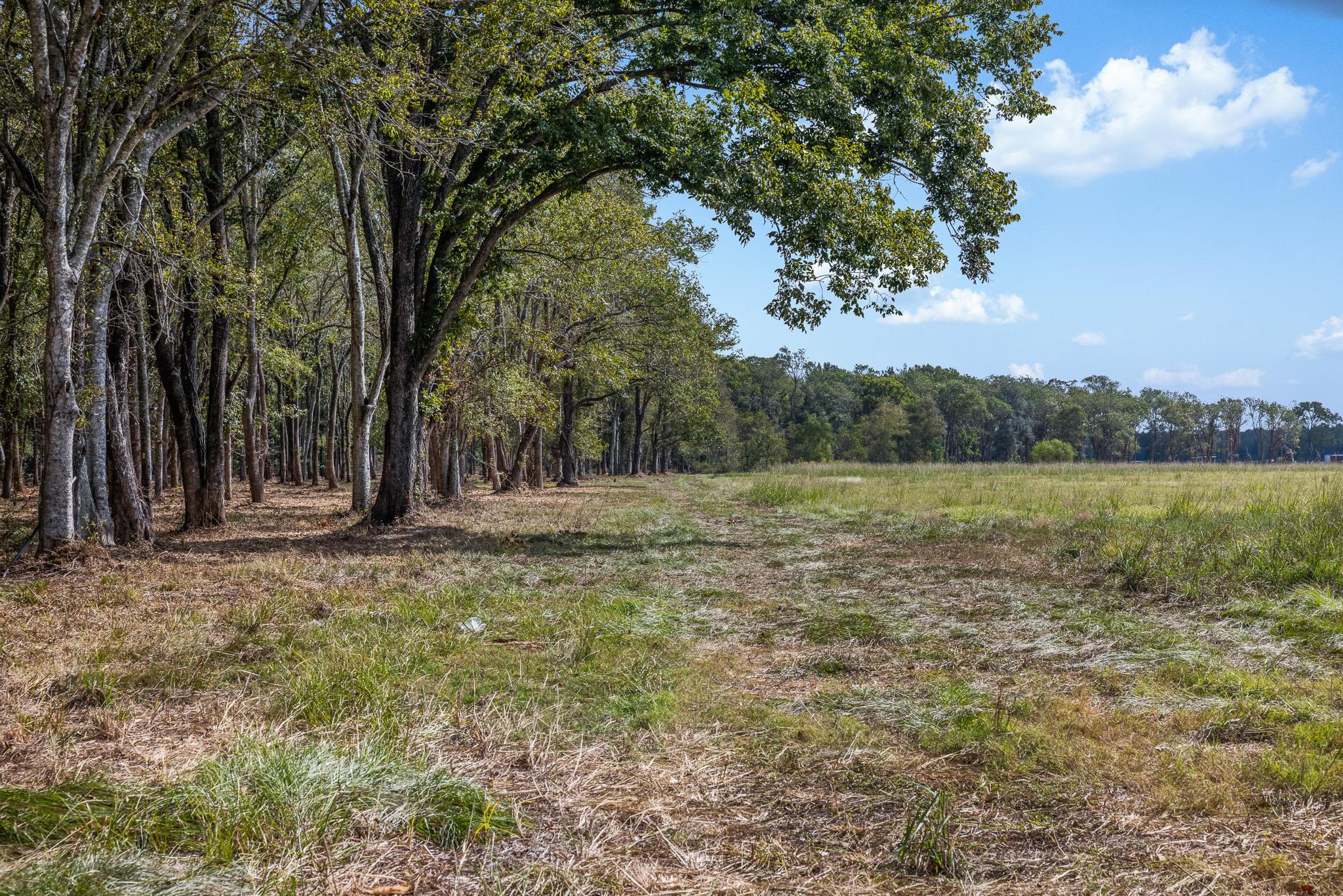 9999 FM 834, Hardin, TX 77564