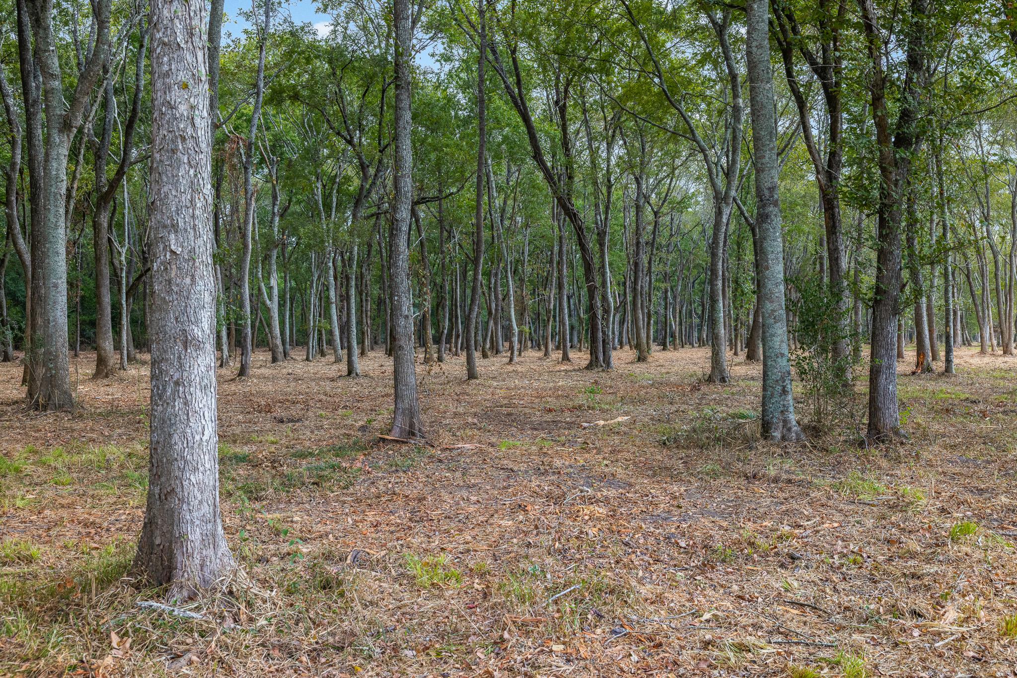 9999 FM 834, Hardin, TX 77564