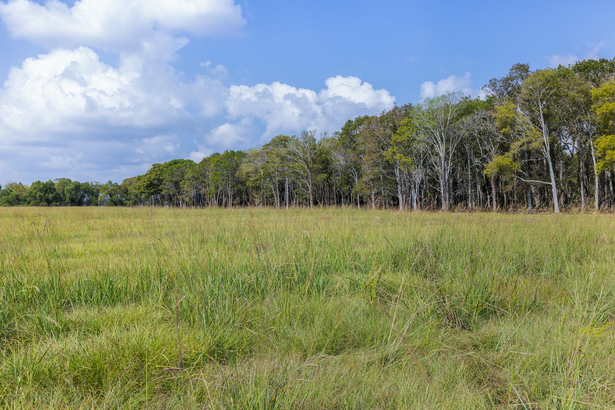 9999 FM 834, Hardin, TX 77564