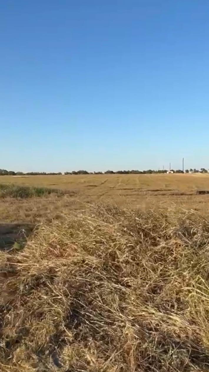 00 County Road 133 Ctr # Lot 6, Ben Arnold, TX 76519