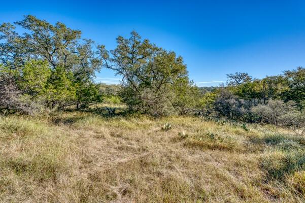Spicewood, TX 78669
