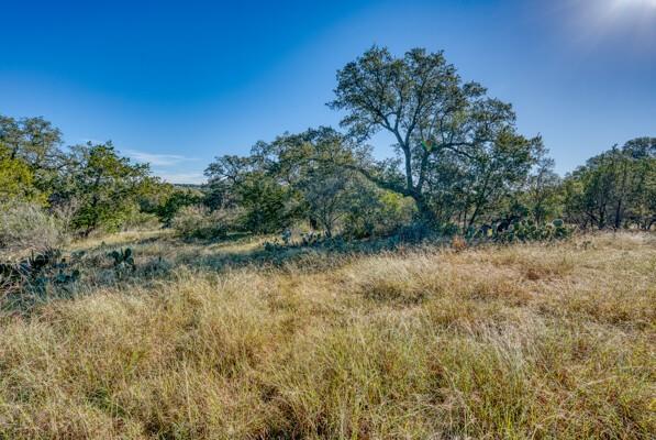 Spicewood, TX 78669