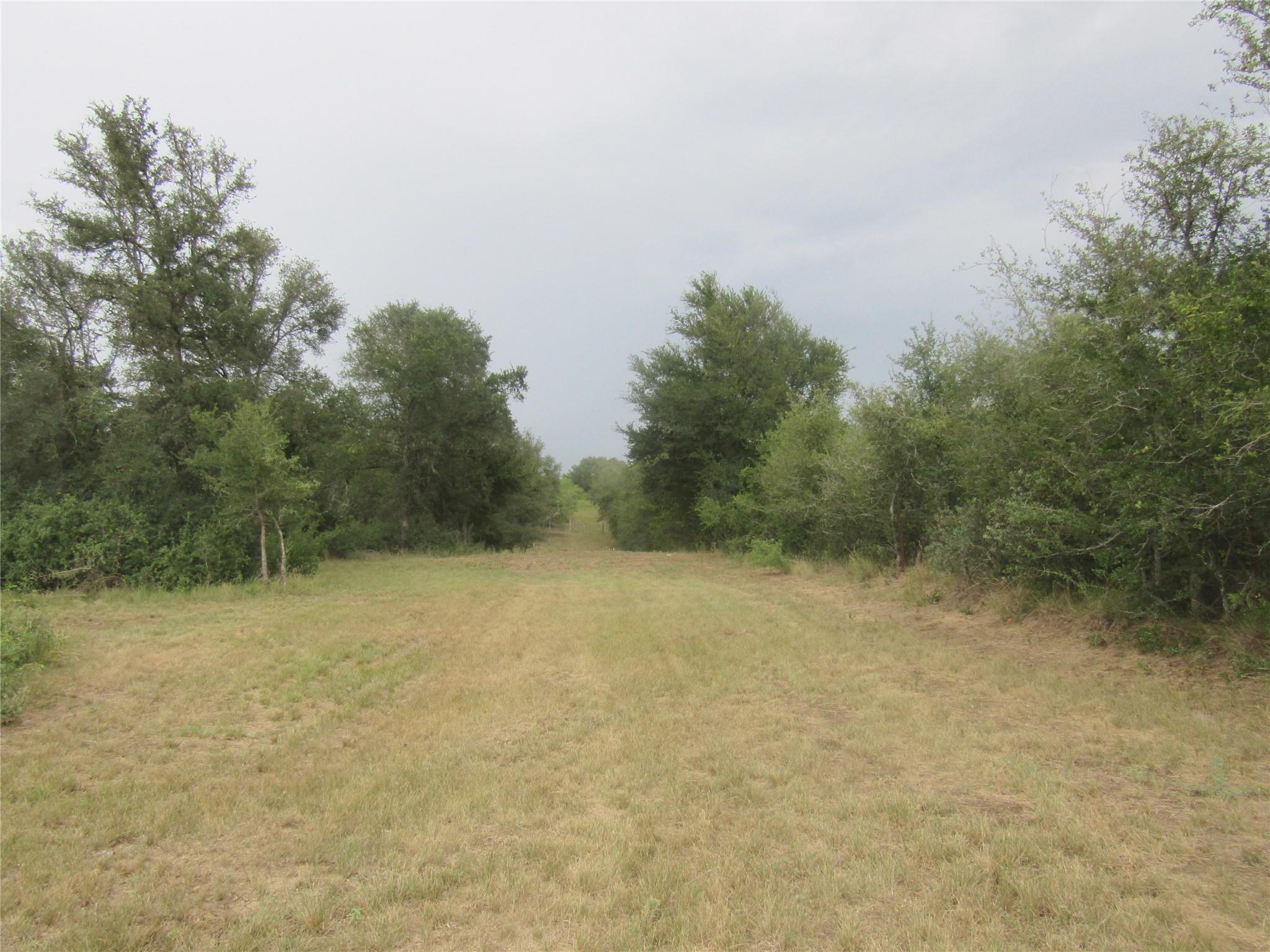 353 Littig Rd, Elgin, TX 78621