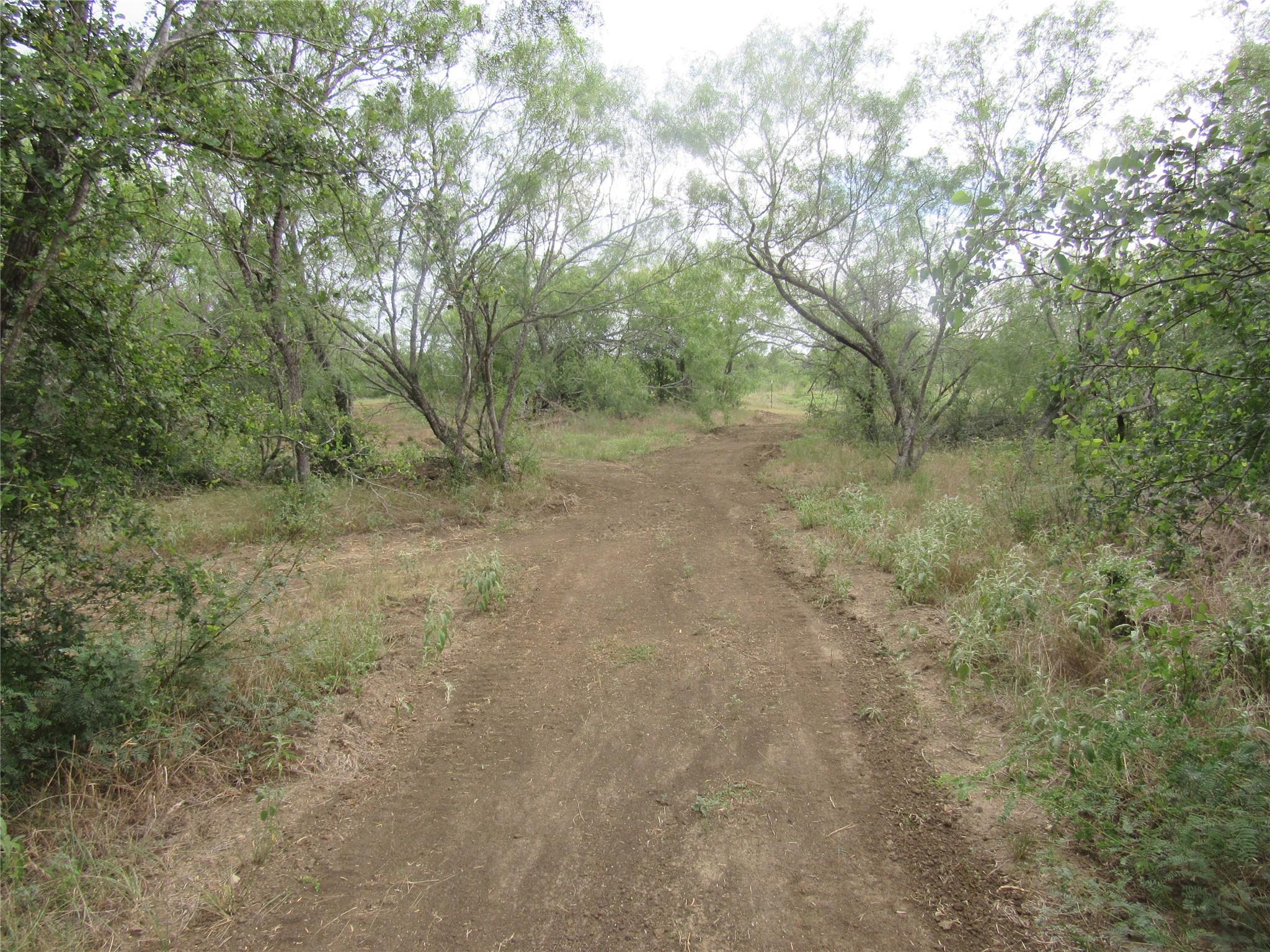 353 Littig Rd, Elgin, TX 78621