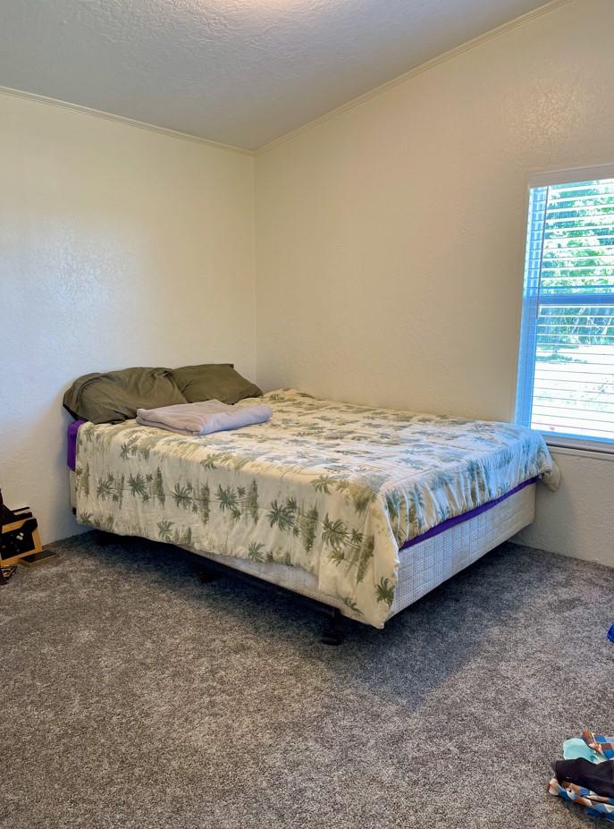 5529 N Fm 487, Rockdale, TX 76567