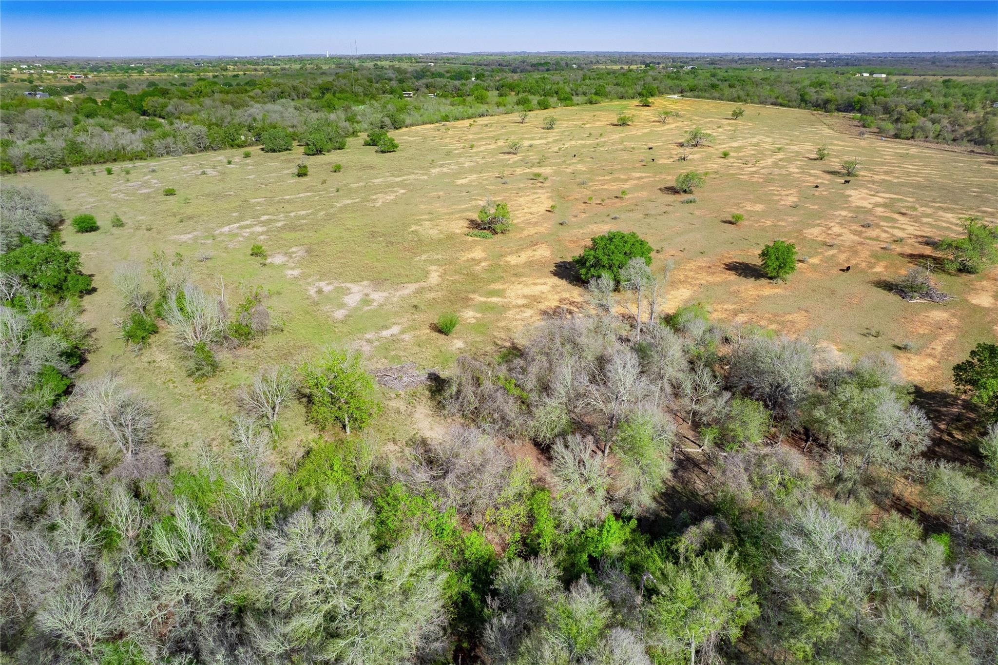 1180 Bugtussle Ln, Luling, TX 78648