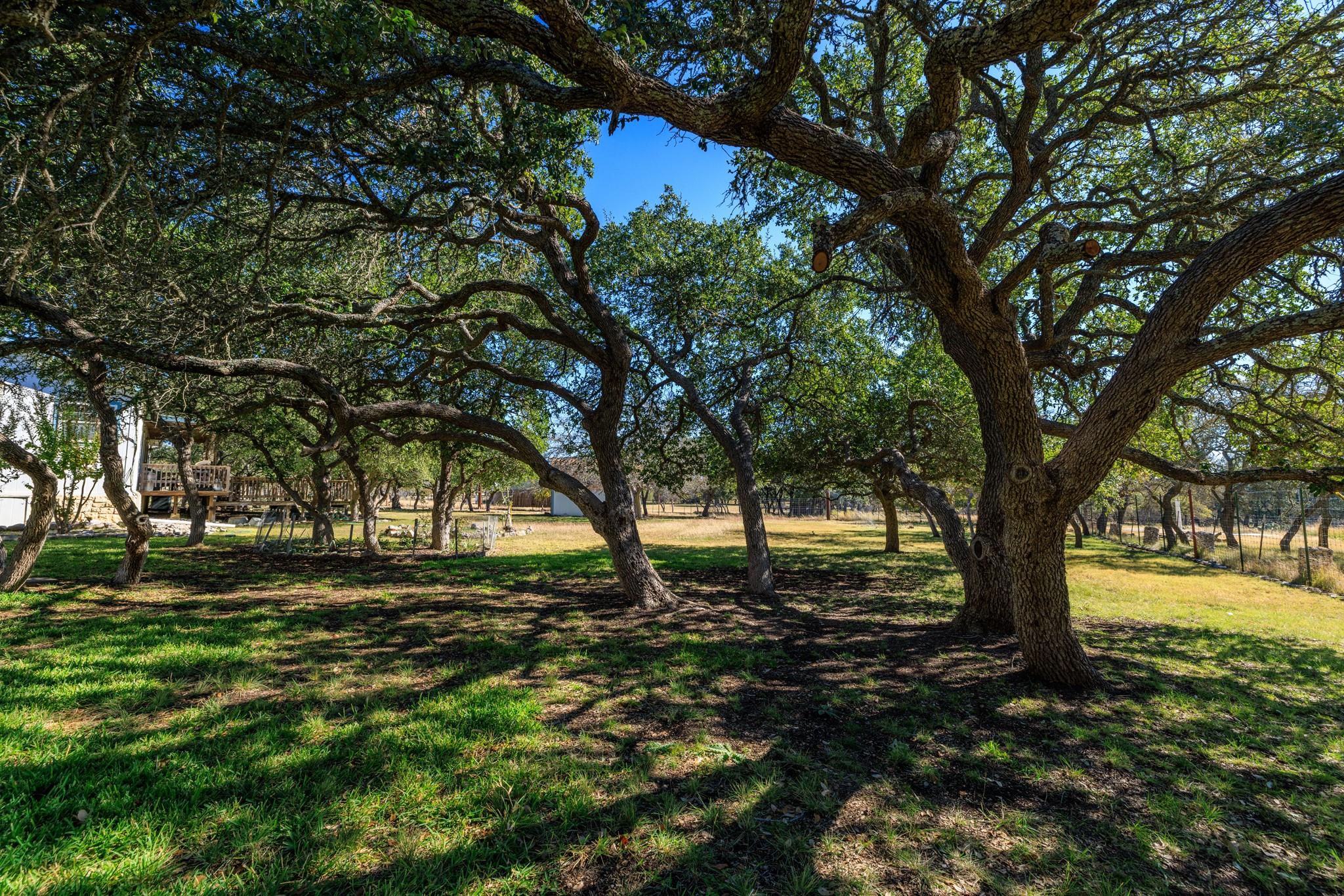 259 Burr Oak Trl, Harper, TX 78631