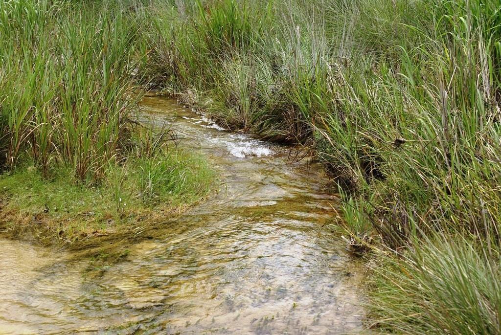 141 Hill Cv, Dripping Springs, TX 78620