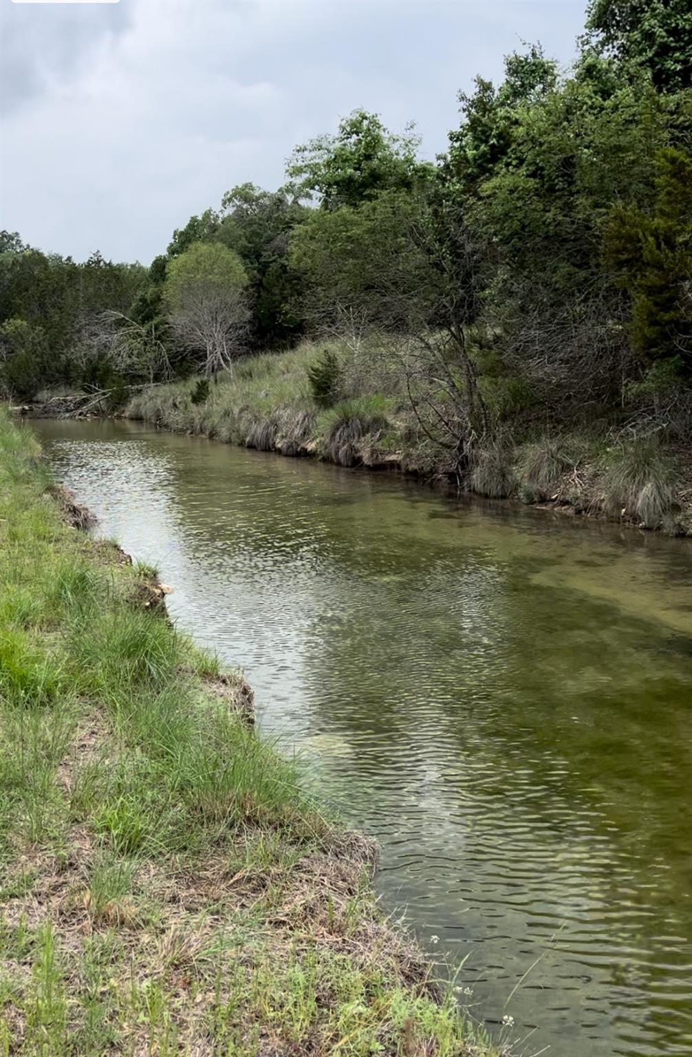 141 Hill Cv, Dripping Springs, TX 78620