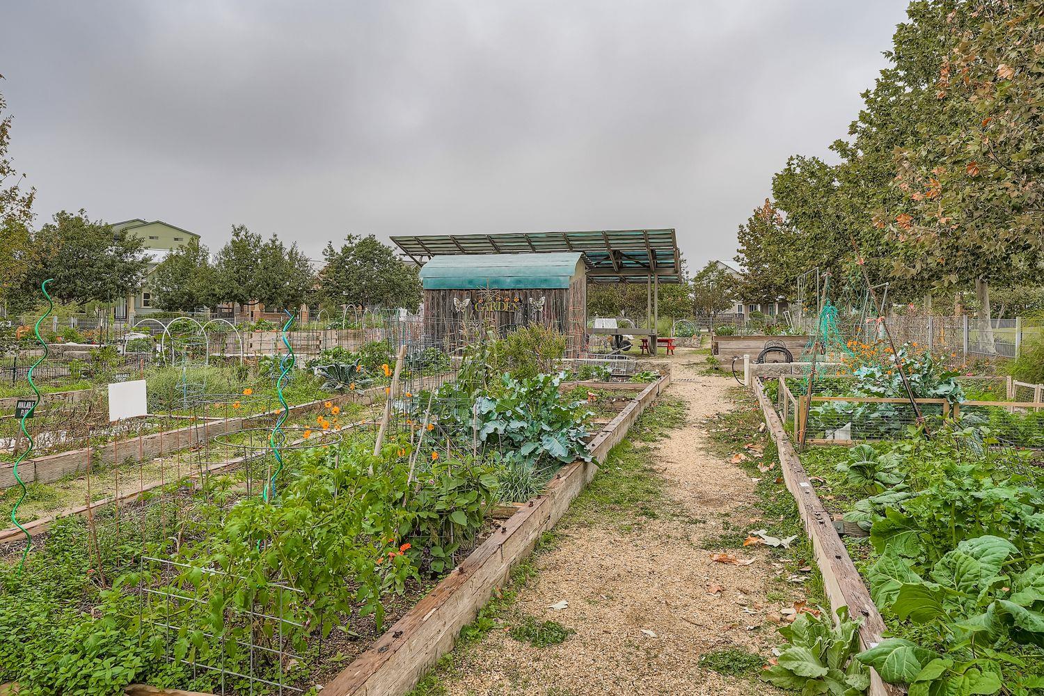 3905 Teaff St, Austin, TX 78723