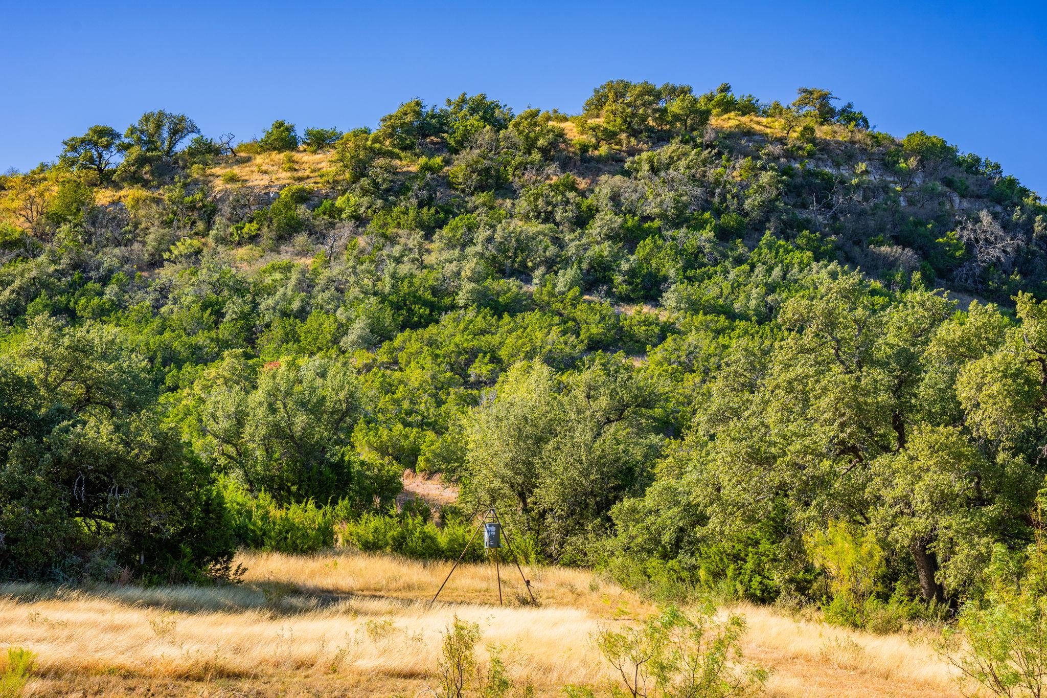 527 Walter Rd, Fredericksburg, TX 78624