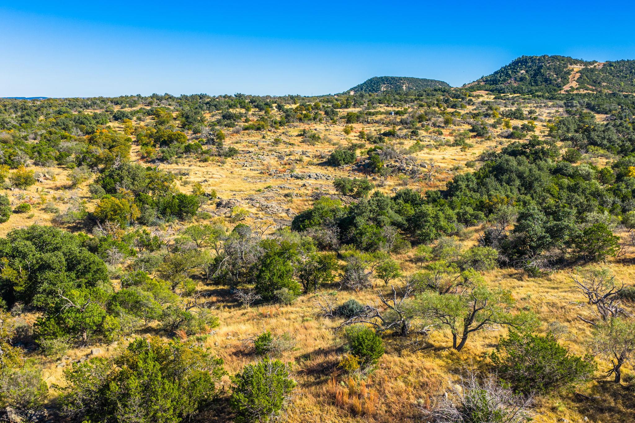 527 Walter Rd, Fredericksburg, TX 78624