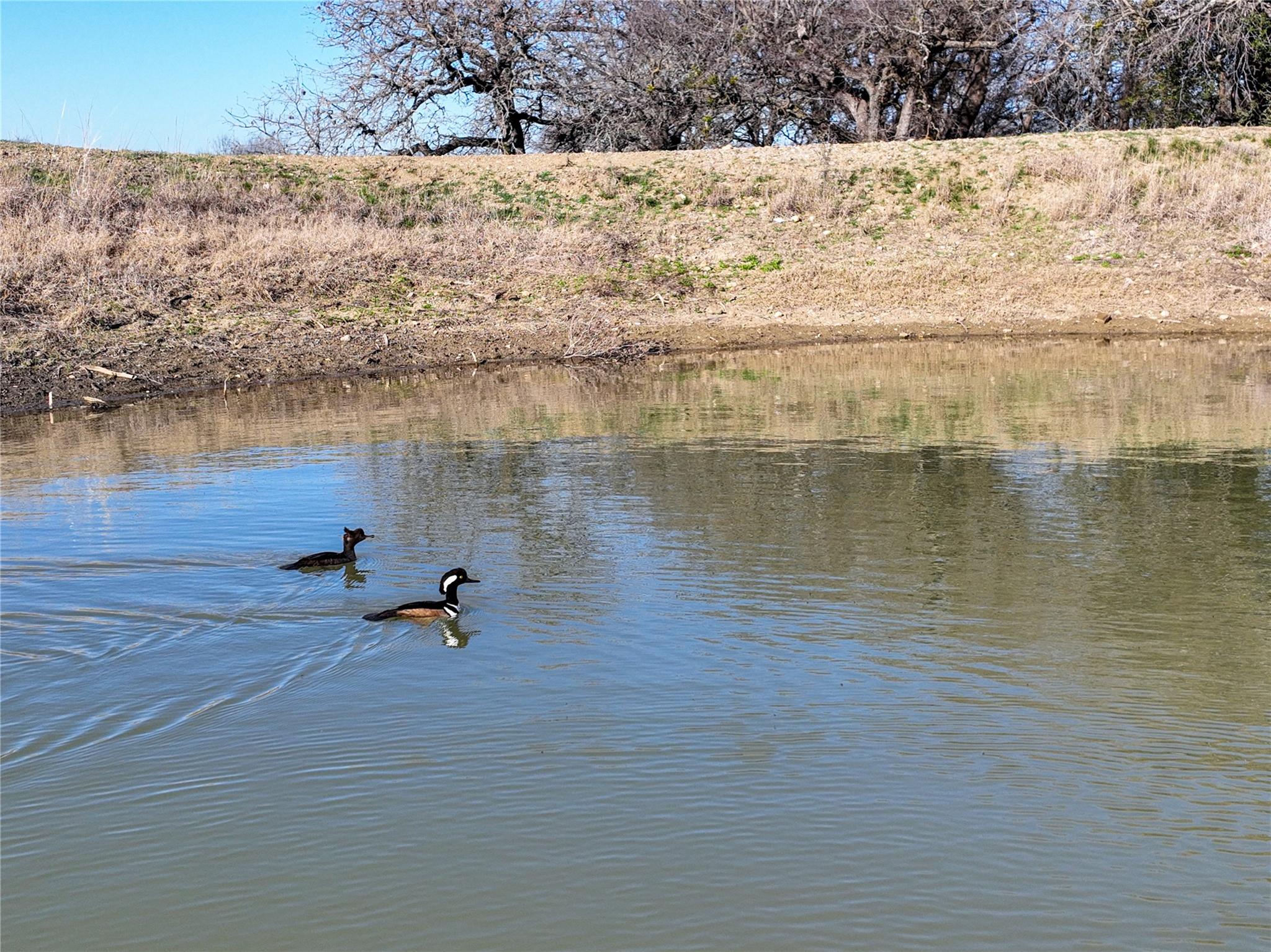 TBD US190 Highway, Lometa, TX 76853