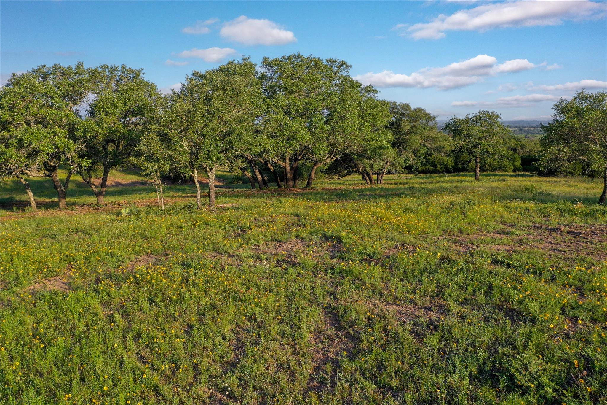 TBD US190 Highway, Lometa, TX 76853