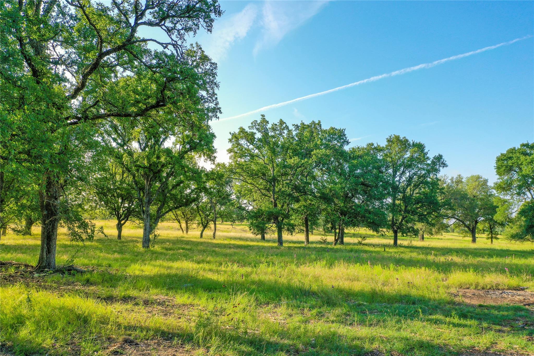 TBD US190 Highway, Lometa, TX 76853