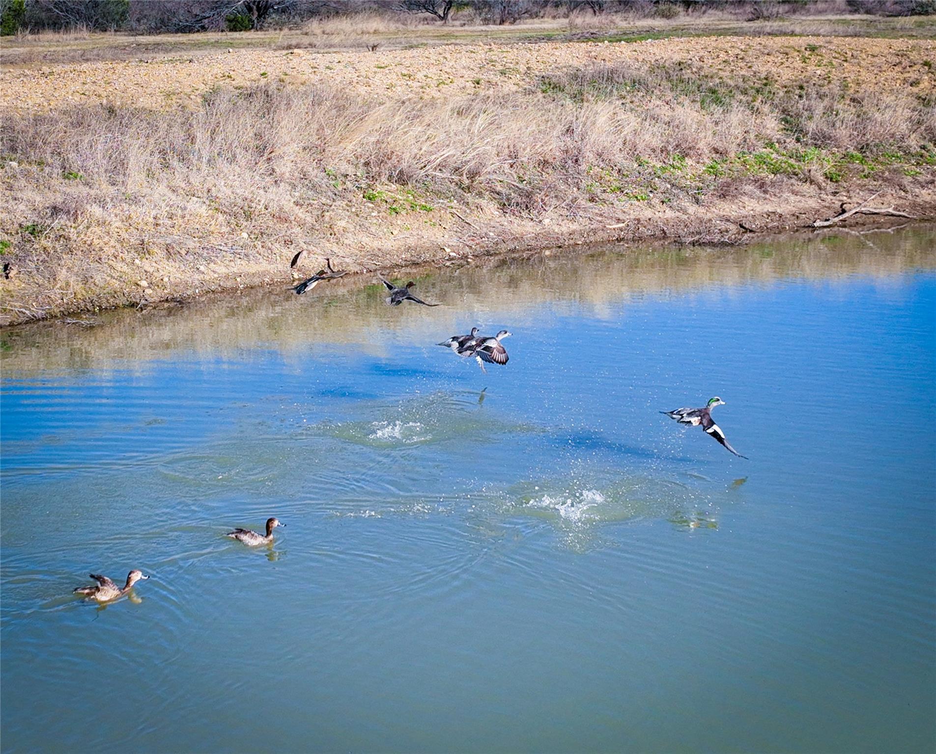 TBD US190 Highway, Lometa, TX 76853