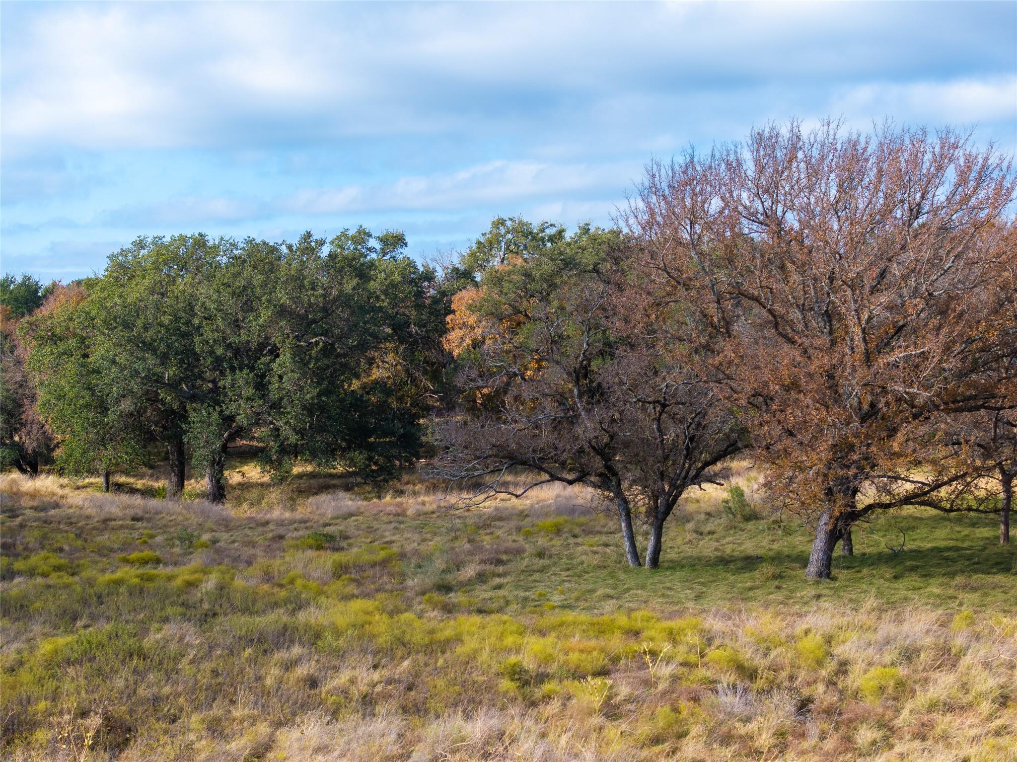 TBD US190 Highway, Lometa, TX 76853