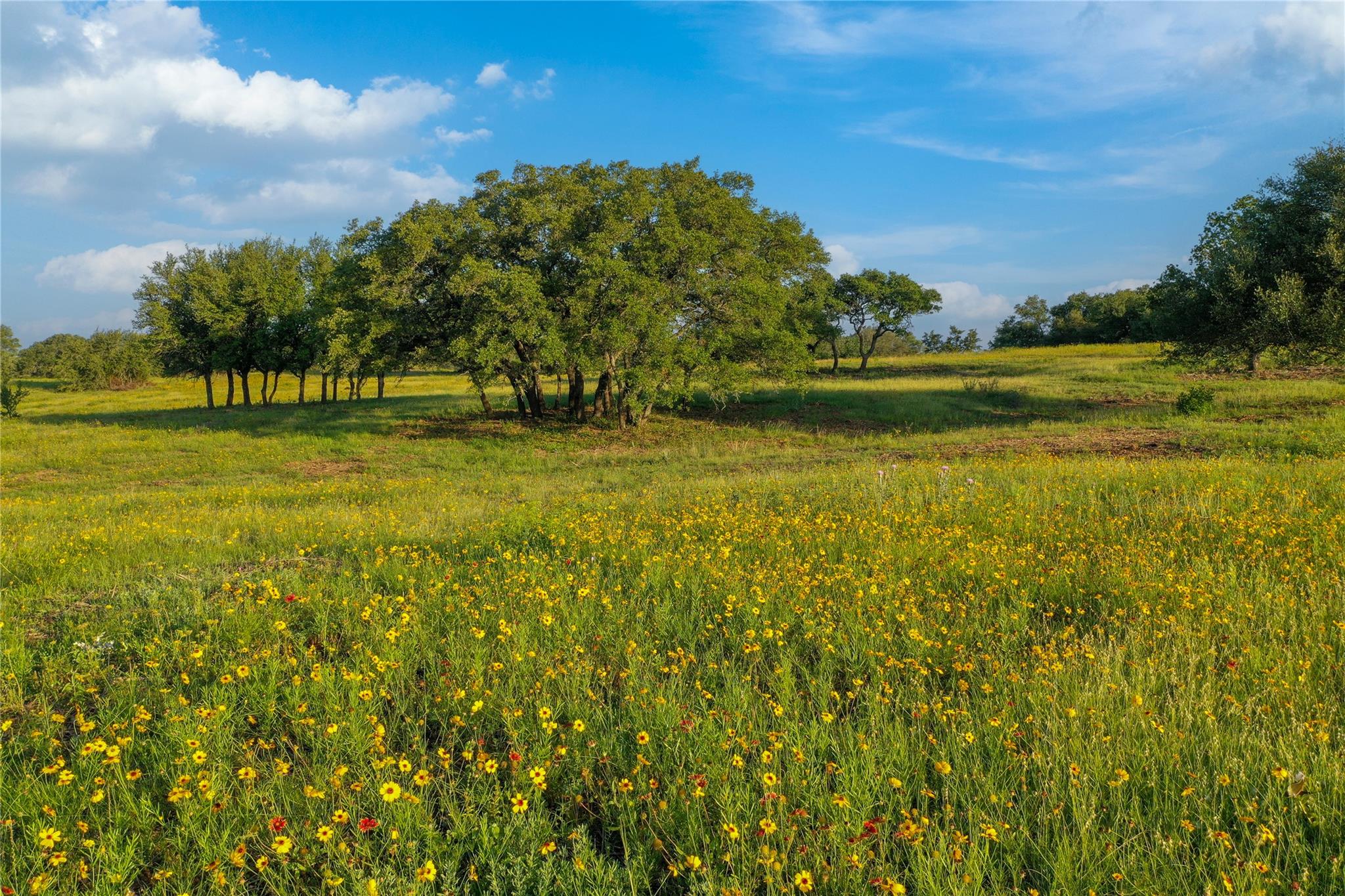 TBD US190 Highway, Lometa, TX 76853