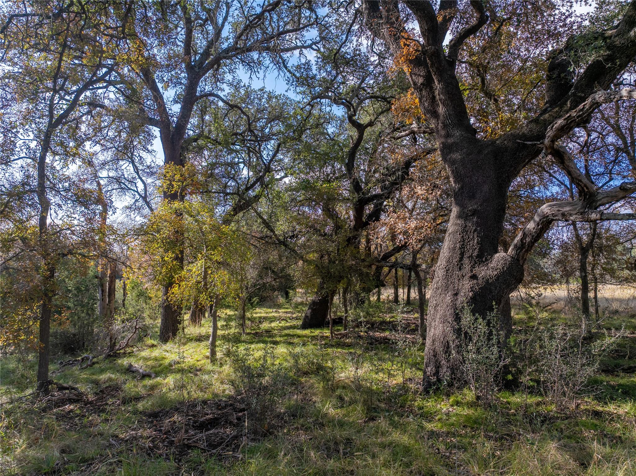 TBD US190 Highway, Lometa, TX 76853