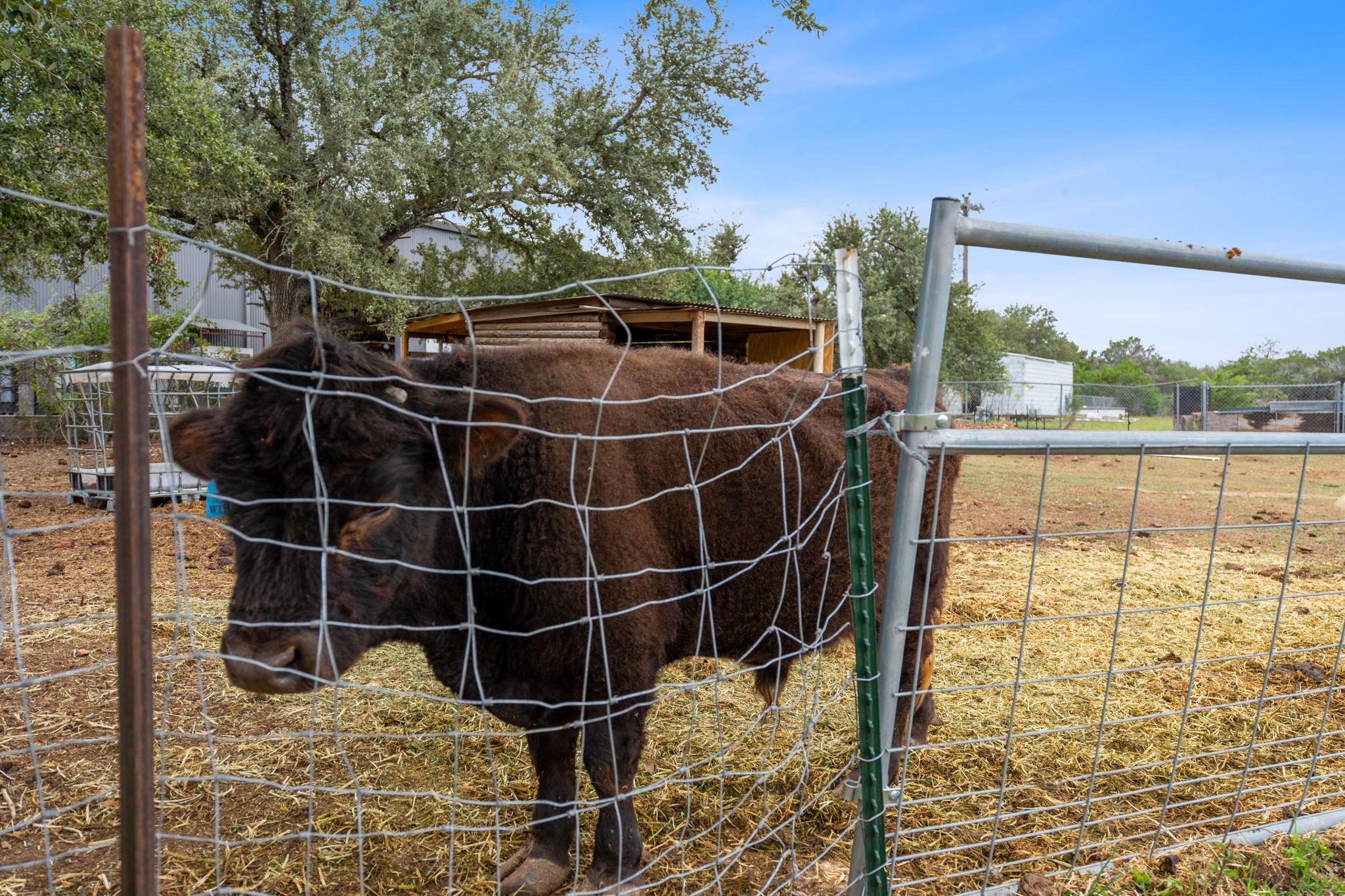 13617 Fitzhugh Rd, Austin, TX 78736