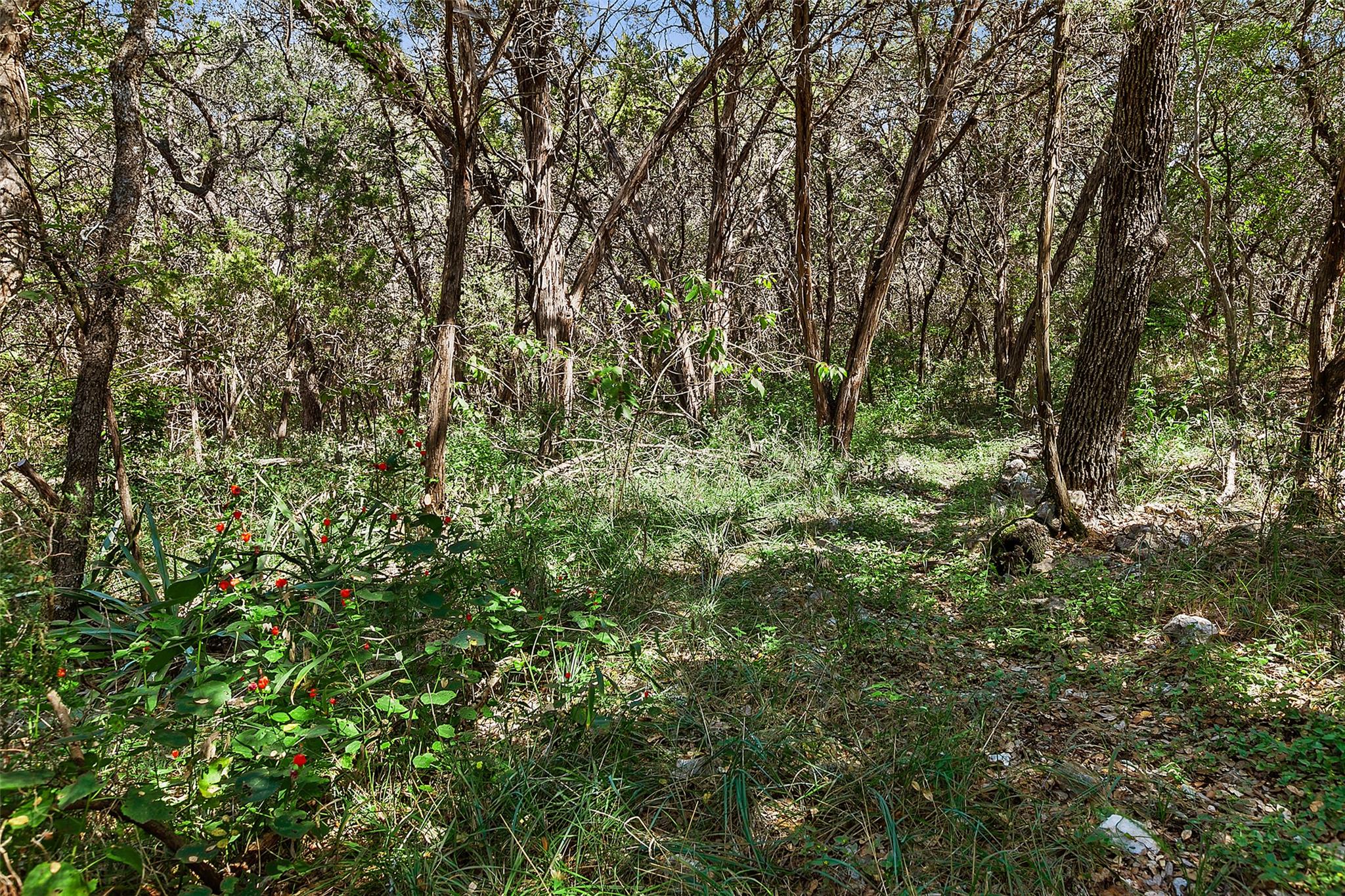 4301 Stearns Ln, Austin, TX 78735