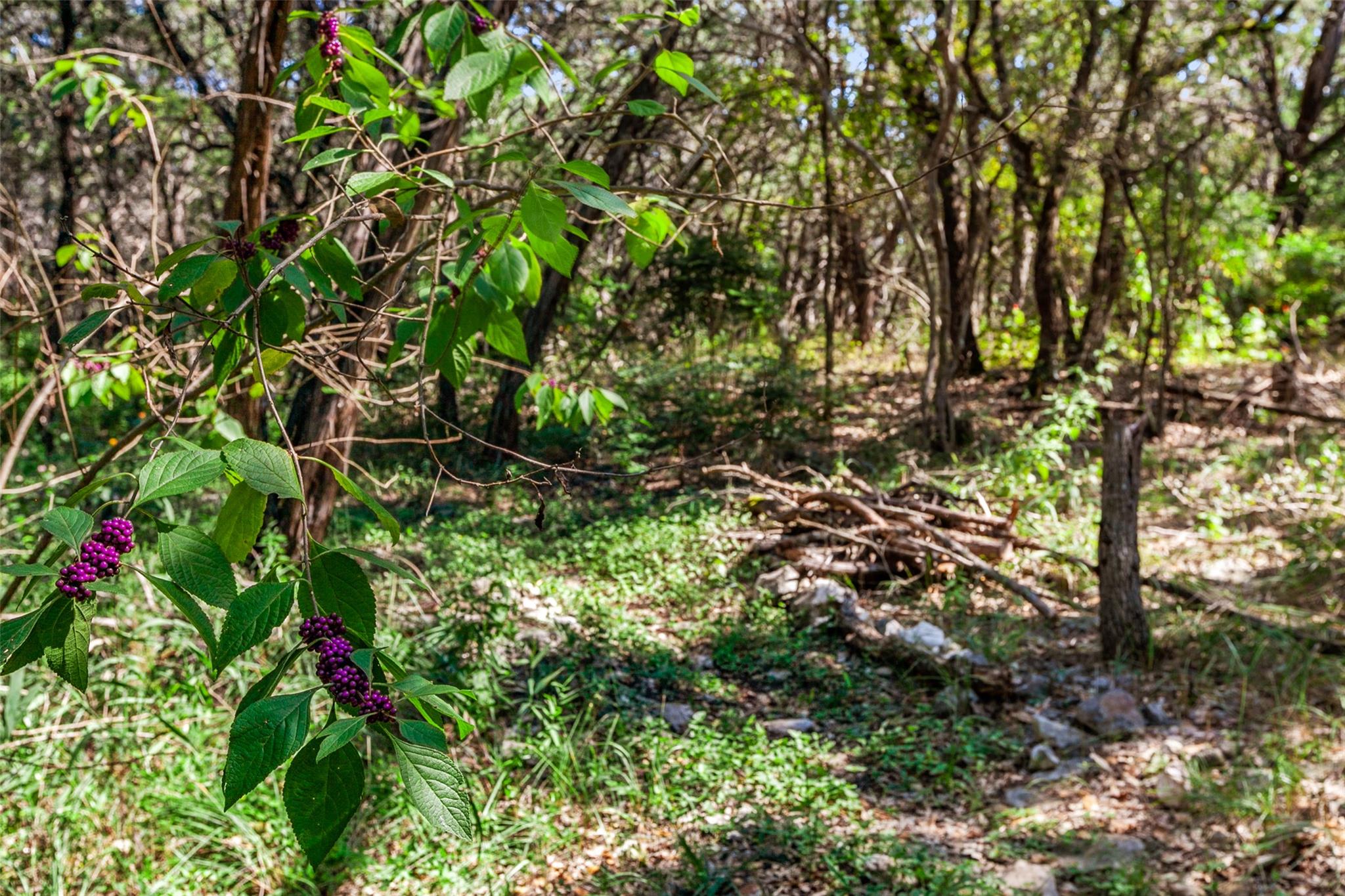 4301 Stearns Ln, Austin, TX 78735