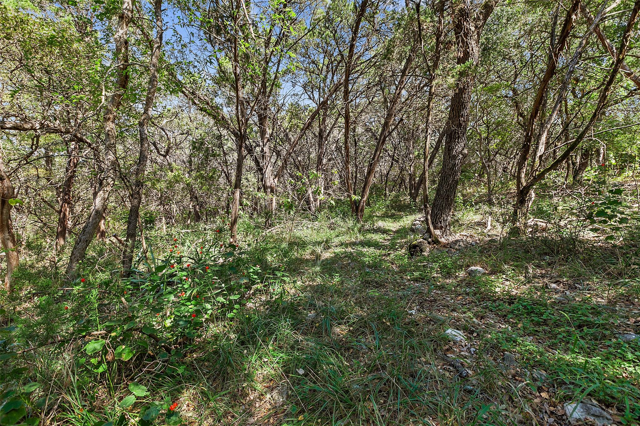 4301 Stearns Ln, Austin, TX 78735