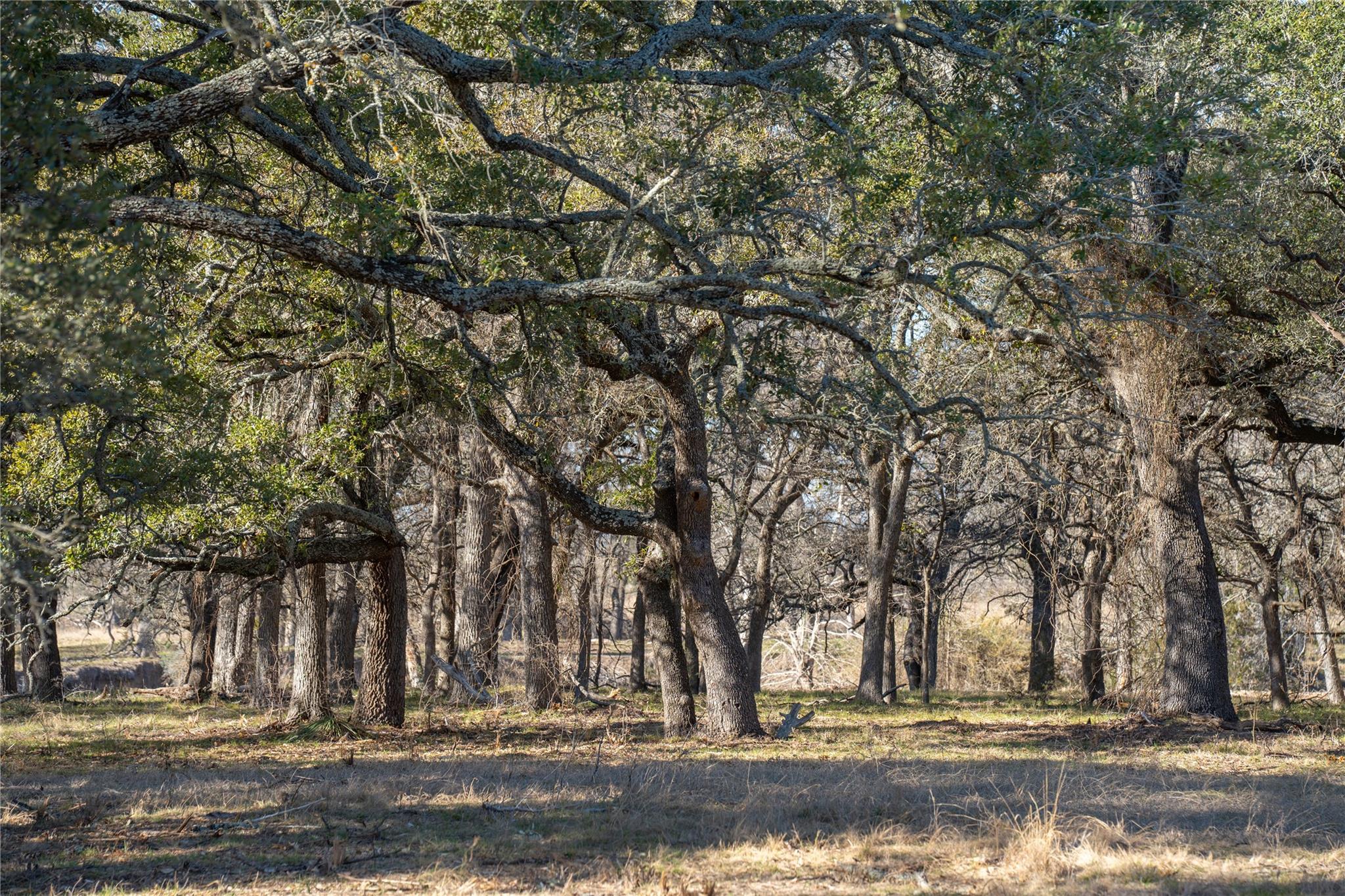 TBD US 190 Highway, Lometa, TX 76853