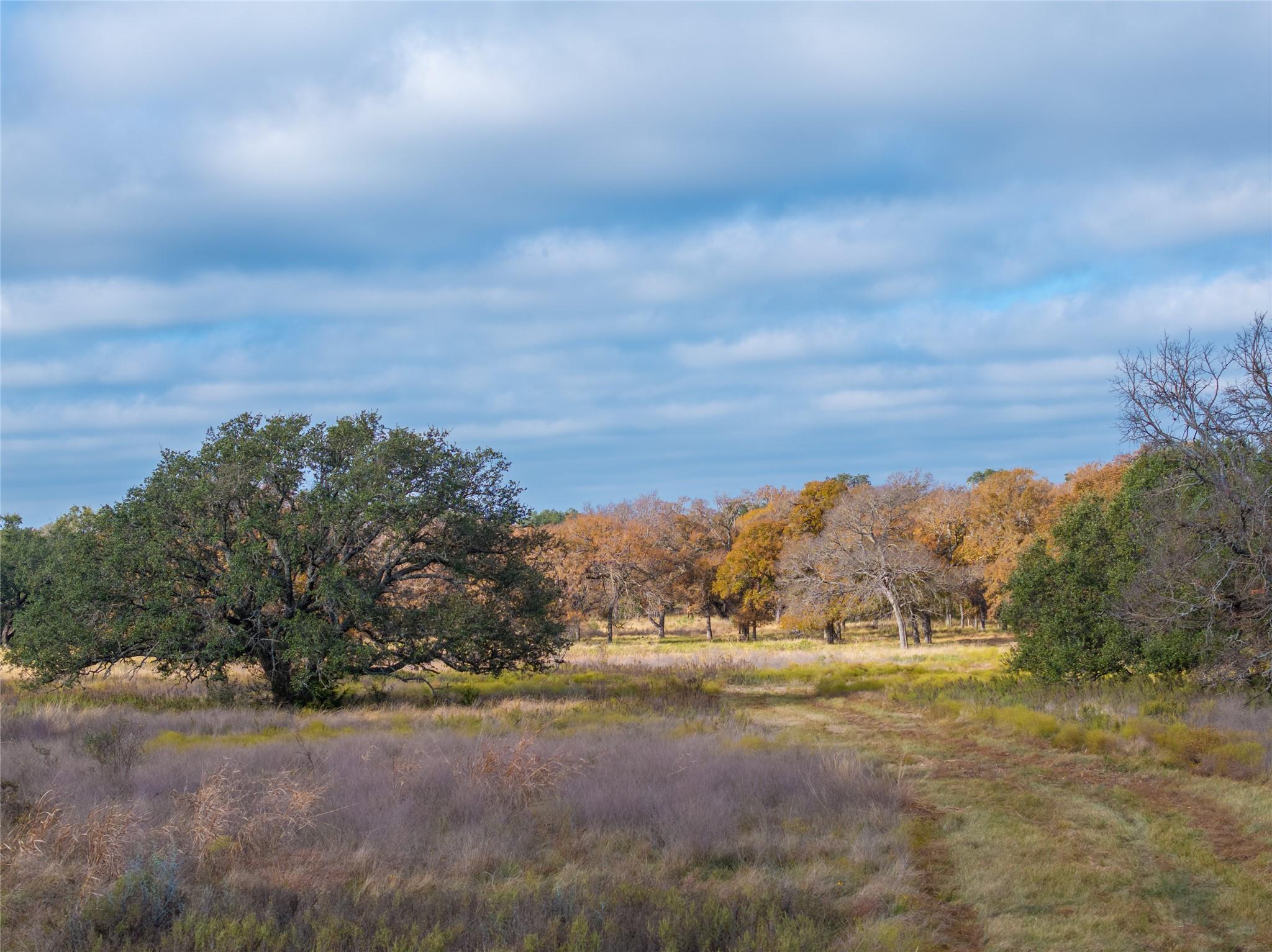 TBD US 190 Highway, Lometa, TX 76853