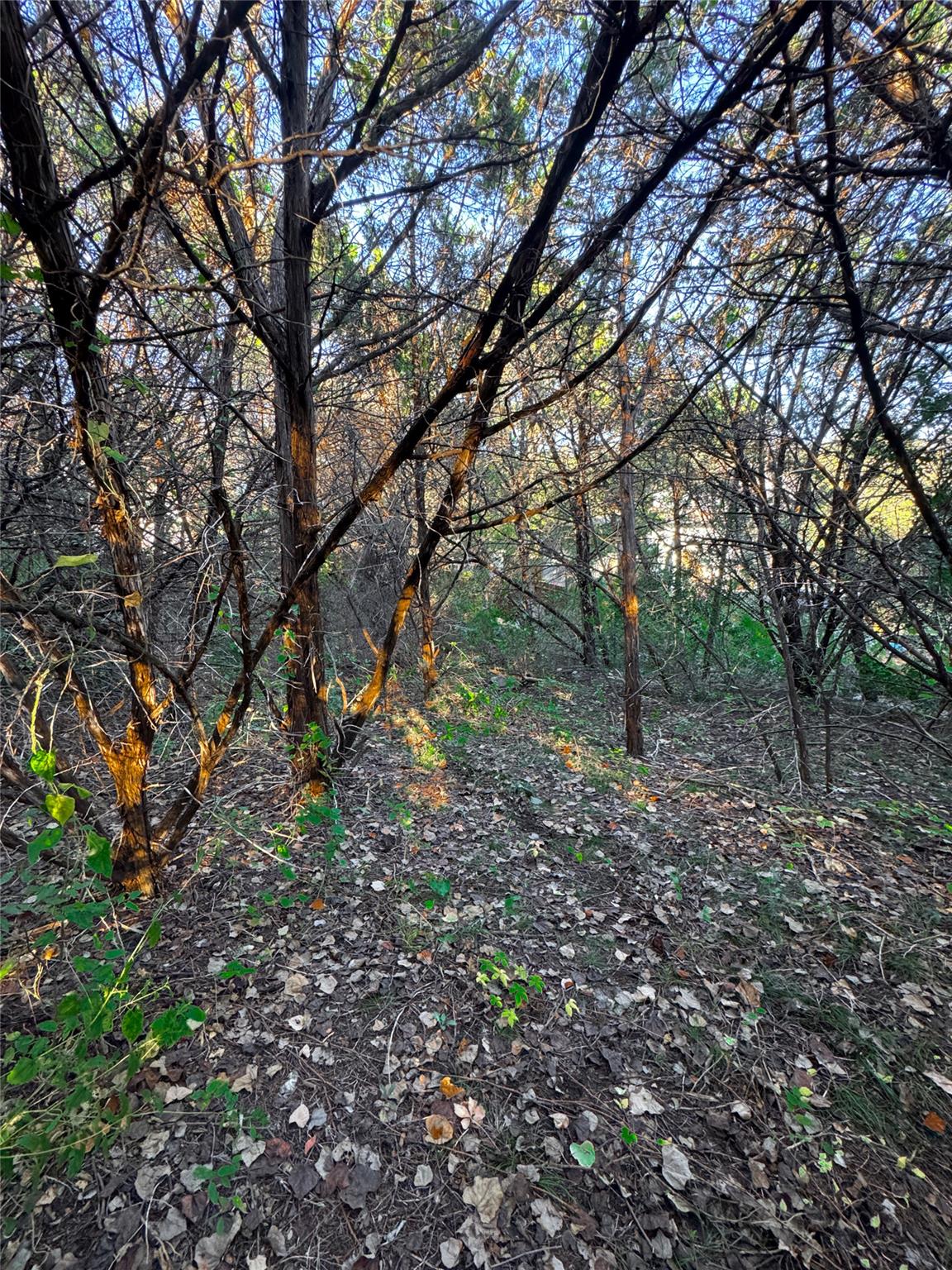 15104 S Flamingo Dr, Austin, TX 78734