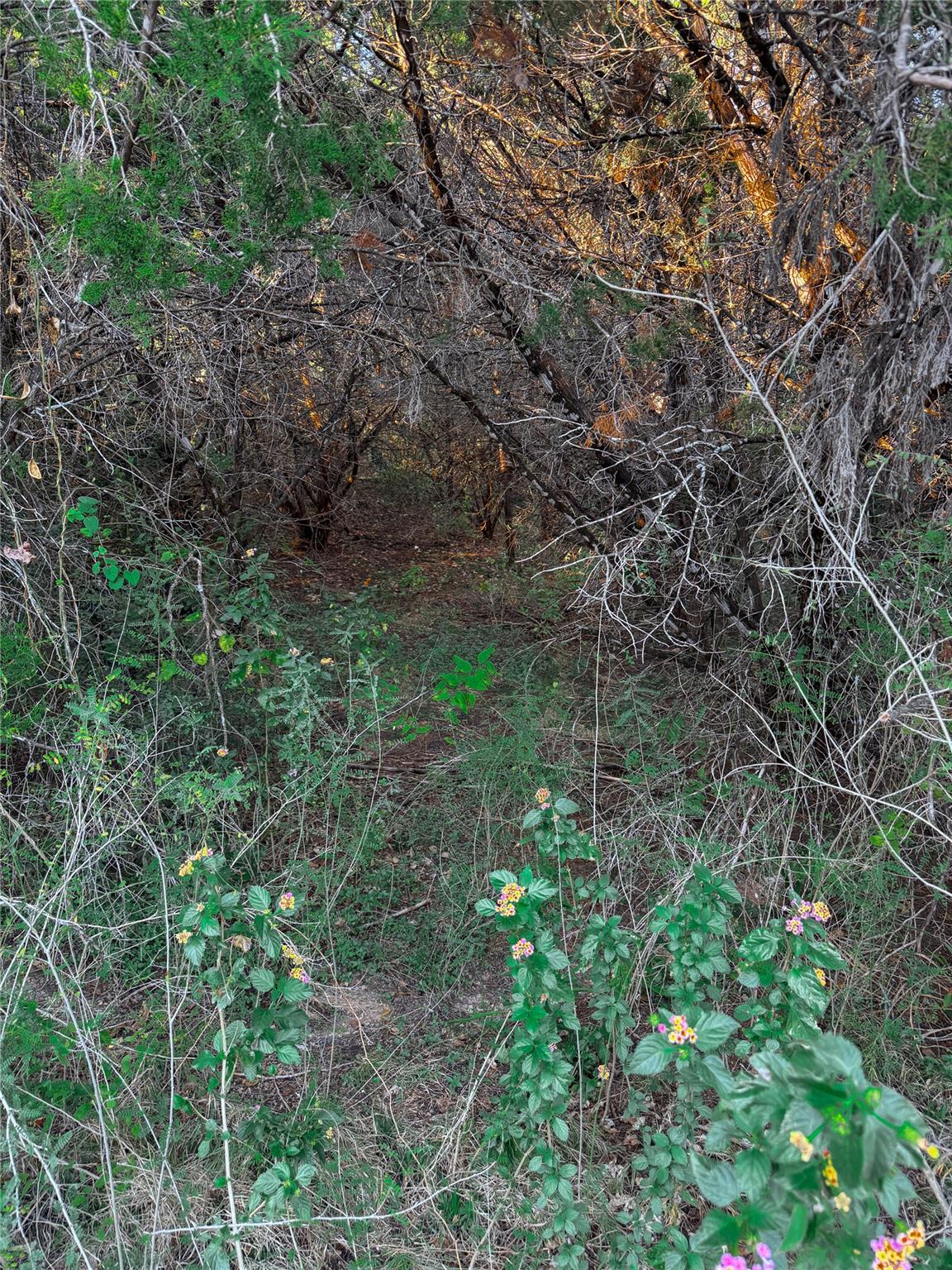 15104 S Flamingo Dr, Austin, TX 78734