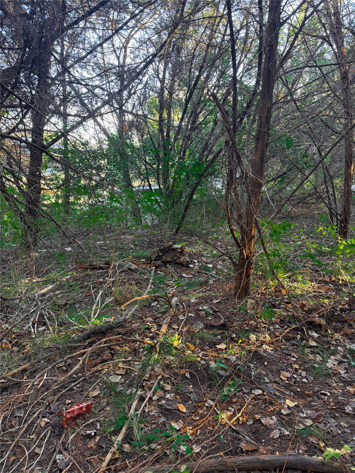 15104 S Flamingo Dr, Austin, TX 78734